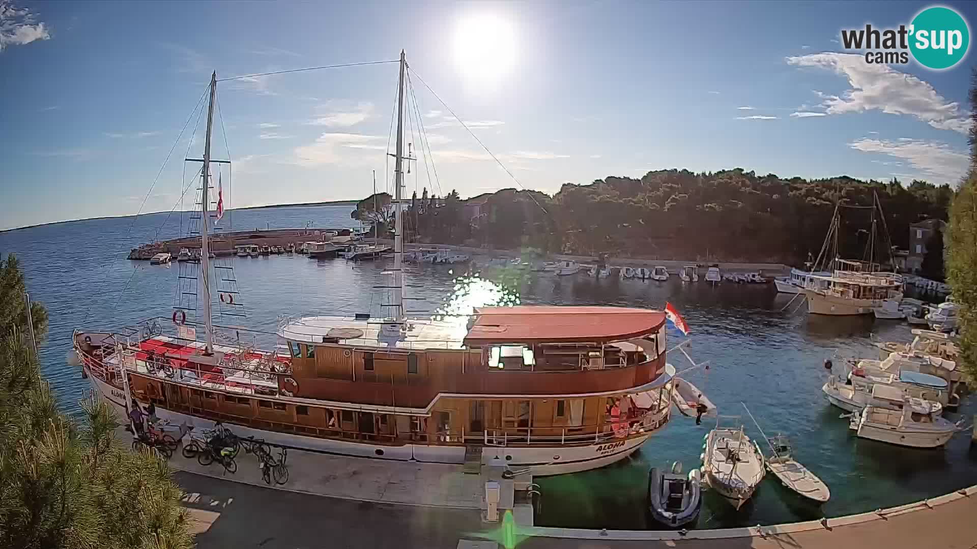 Mandre – marina