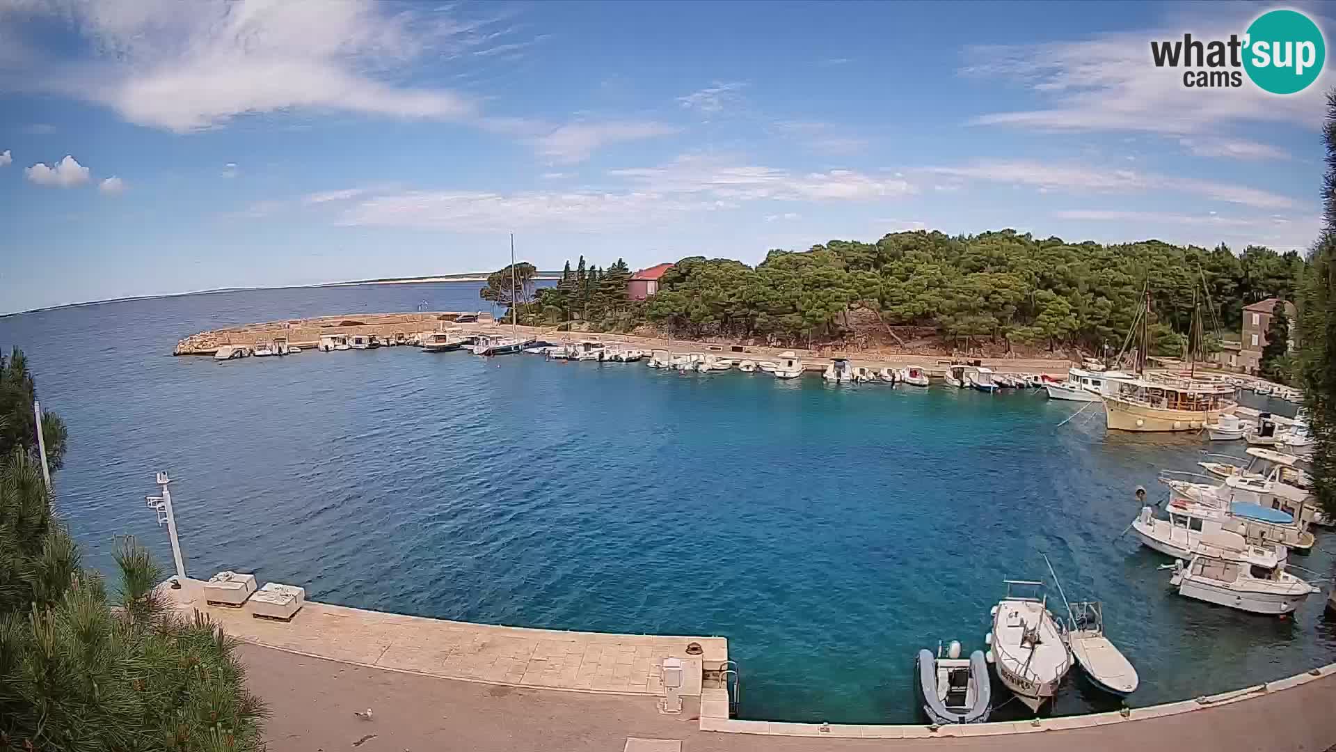 Mandre – marina