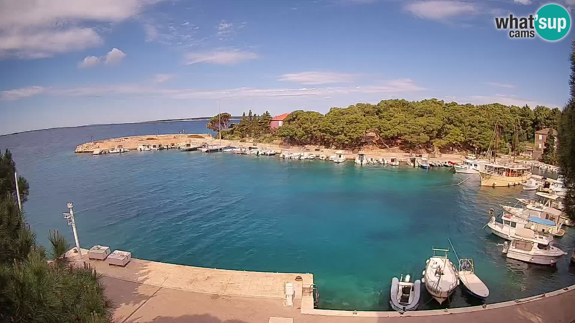 Mandre – marina