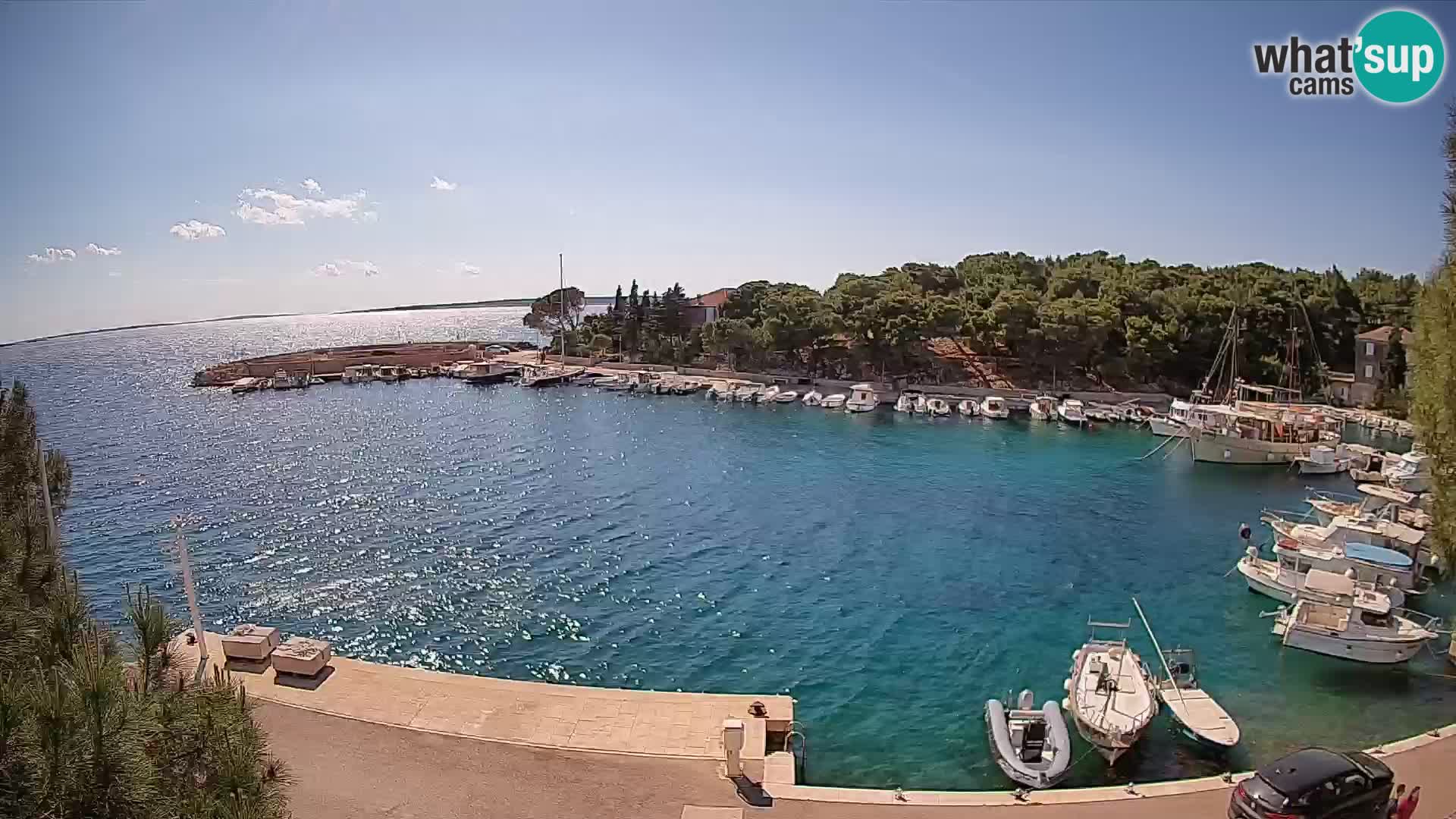 Mandre – marina