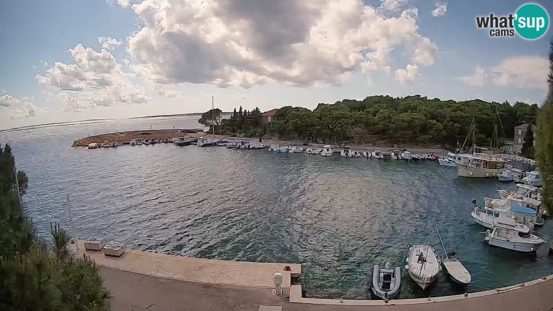 Mandre – marina
