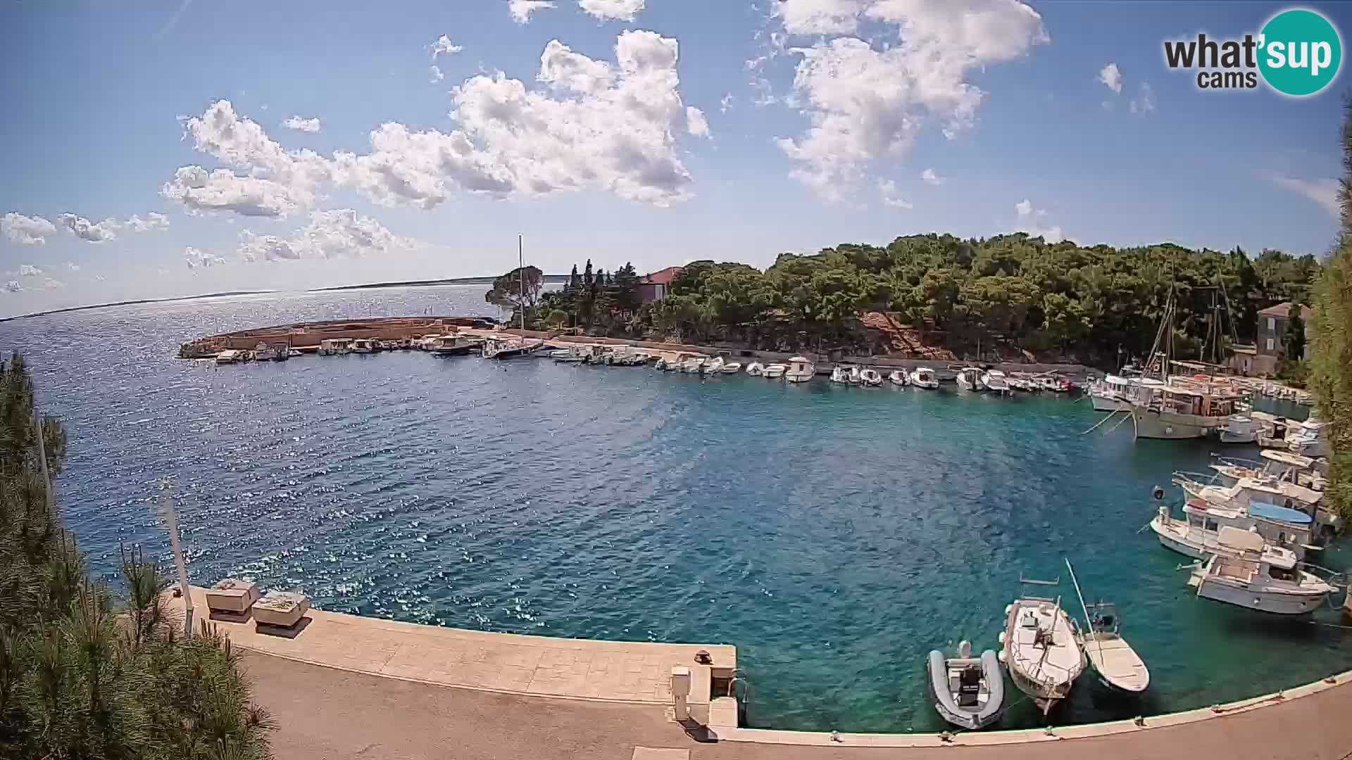 Mandre – marina