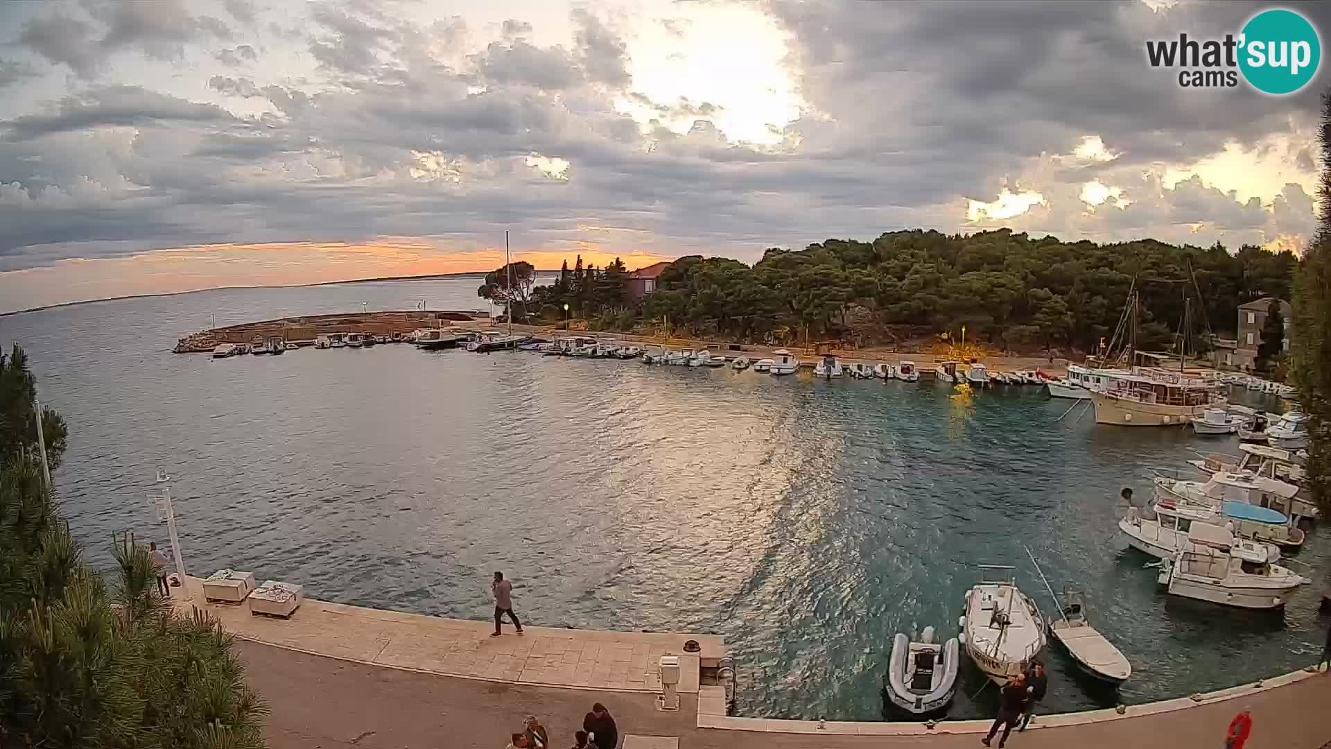 Mandre – marina