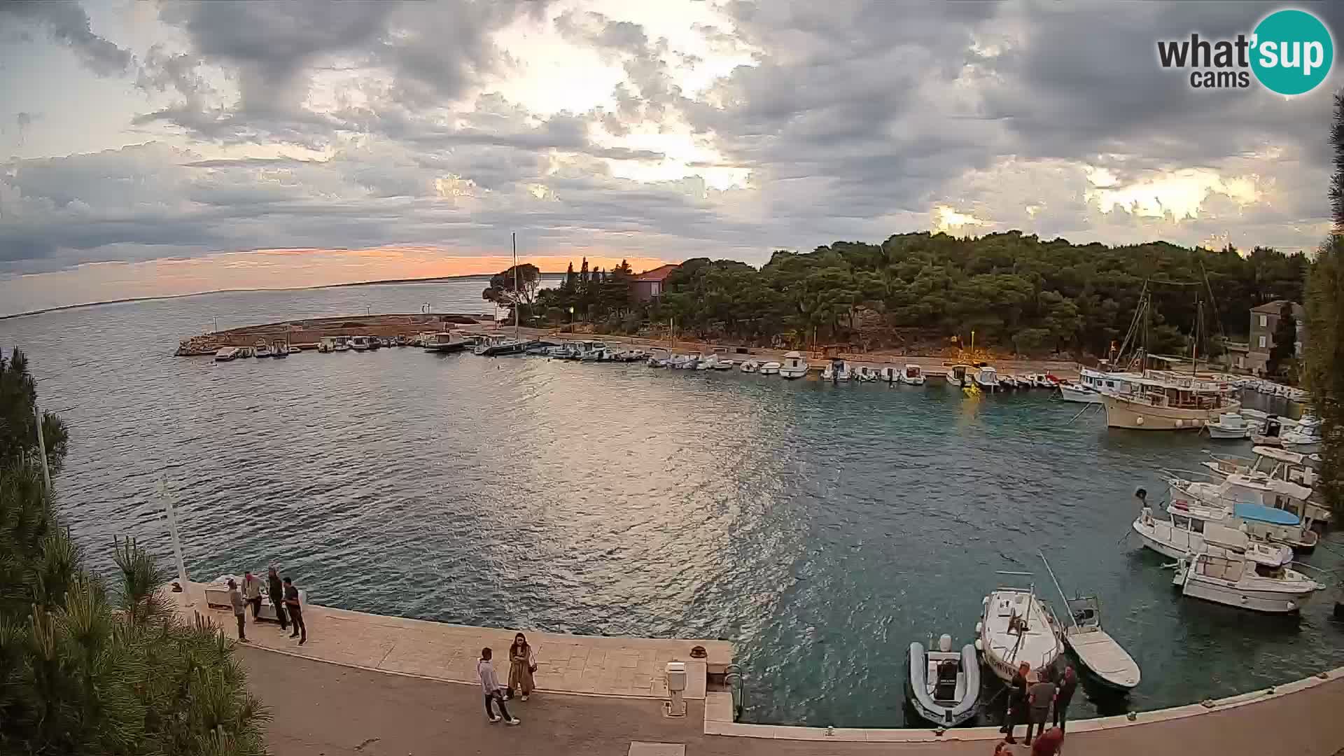 Mandre – marina