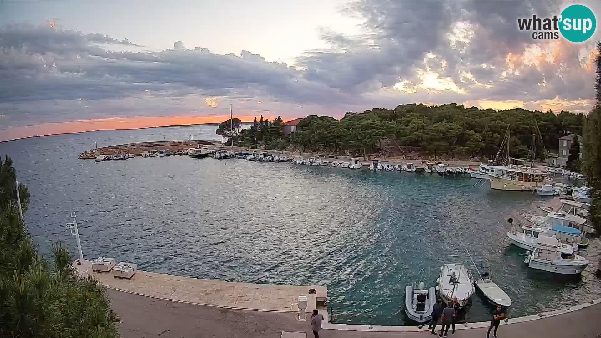 Mandre – marina