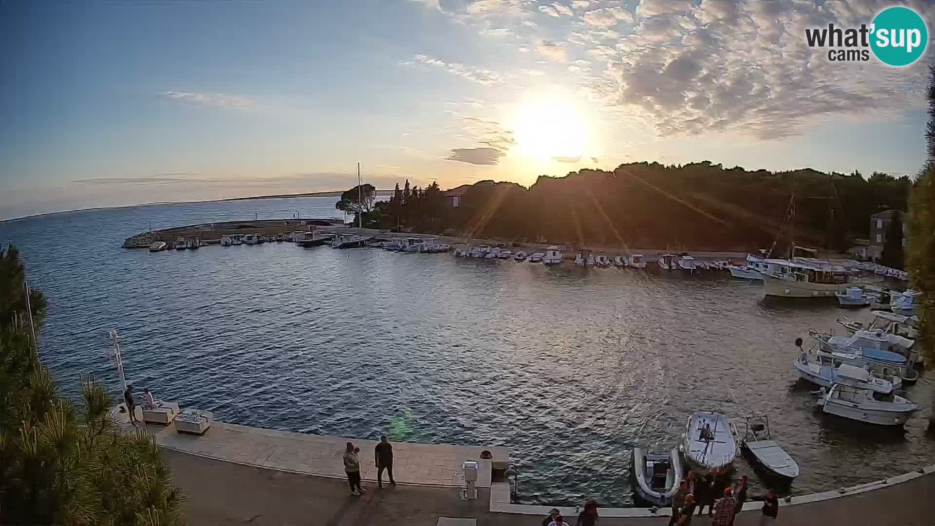 Mandre – marina