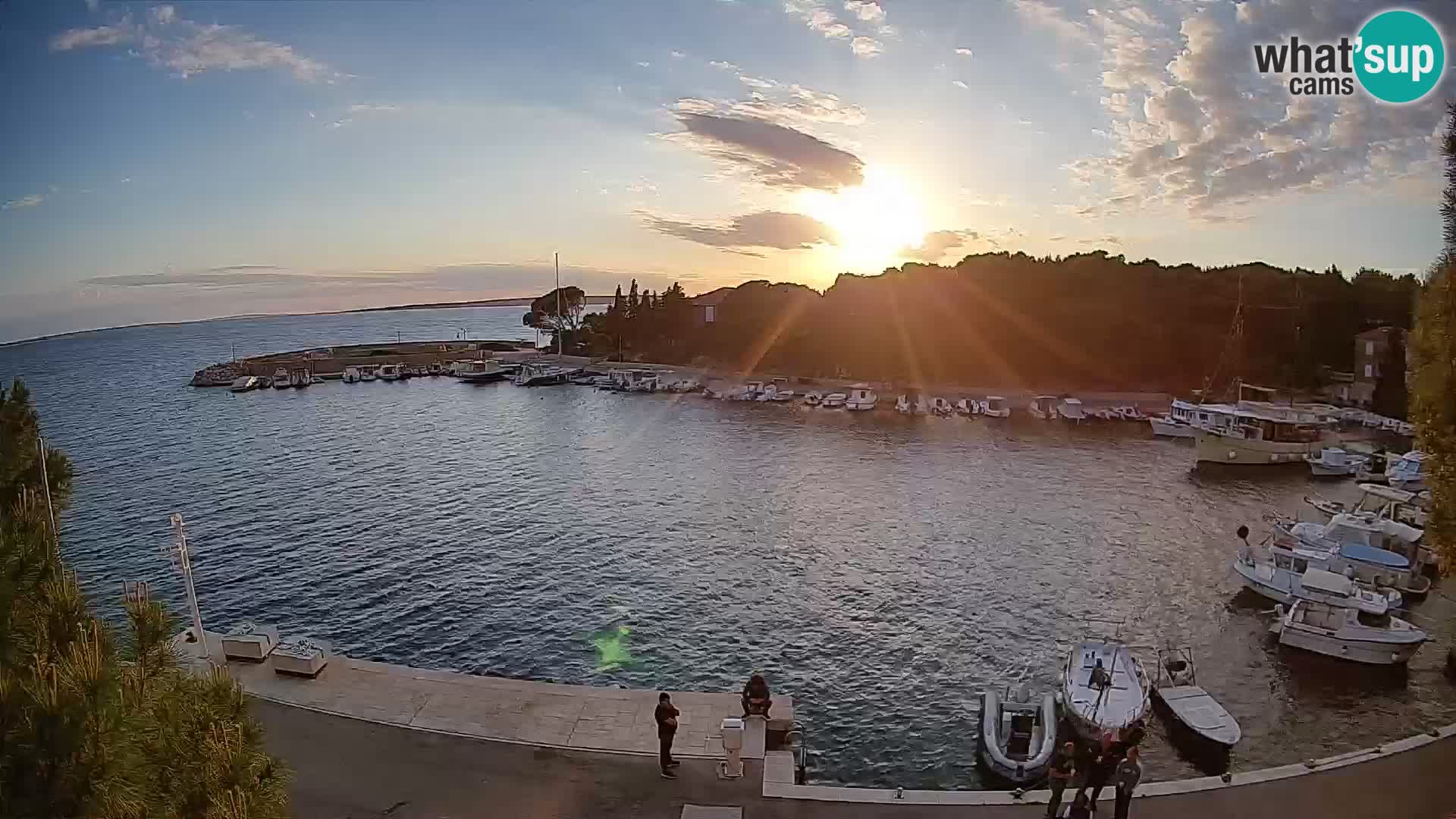 Mandre – marina