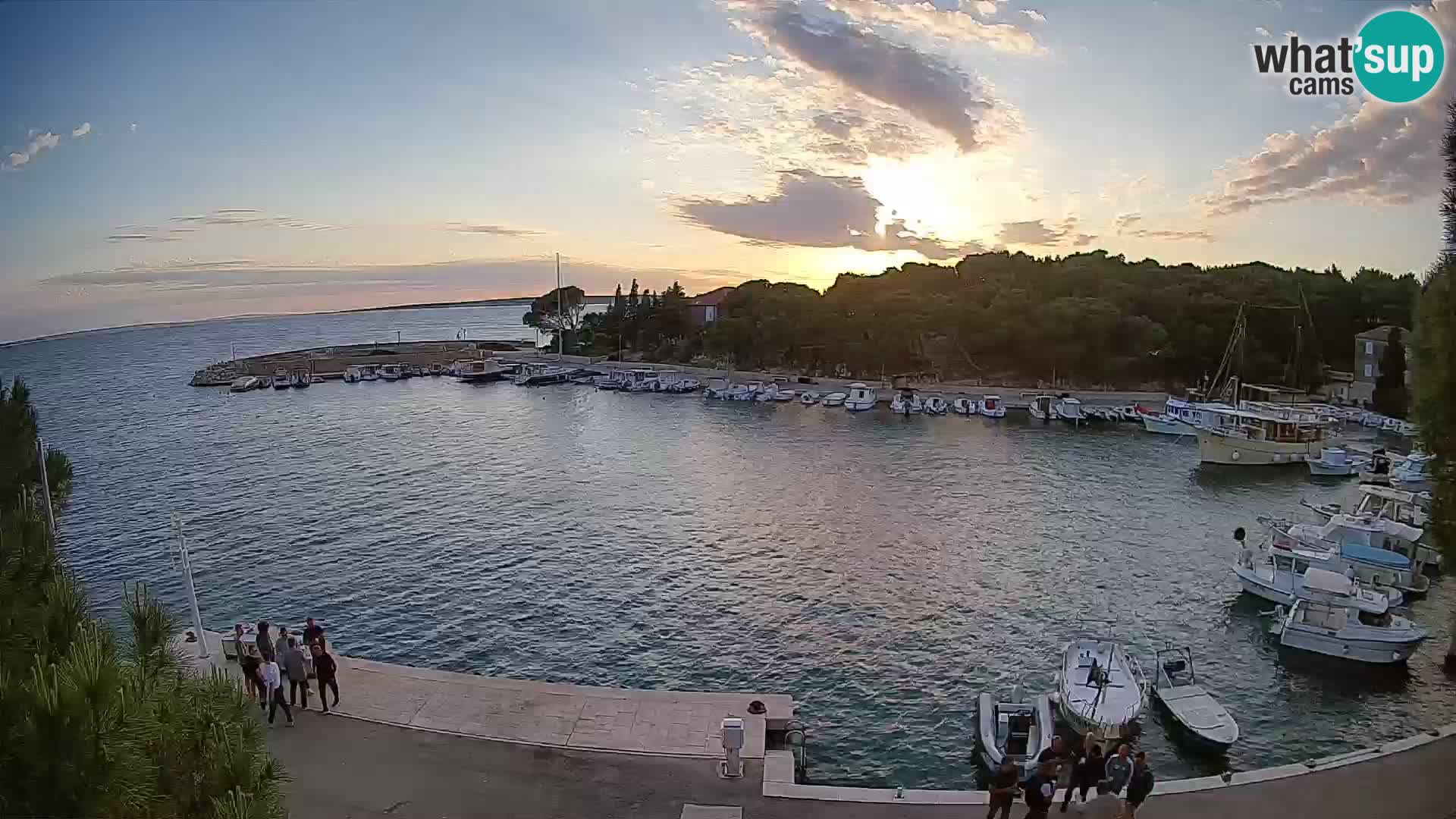 Mandre – marina