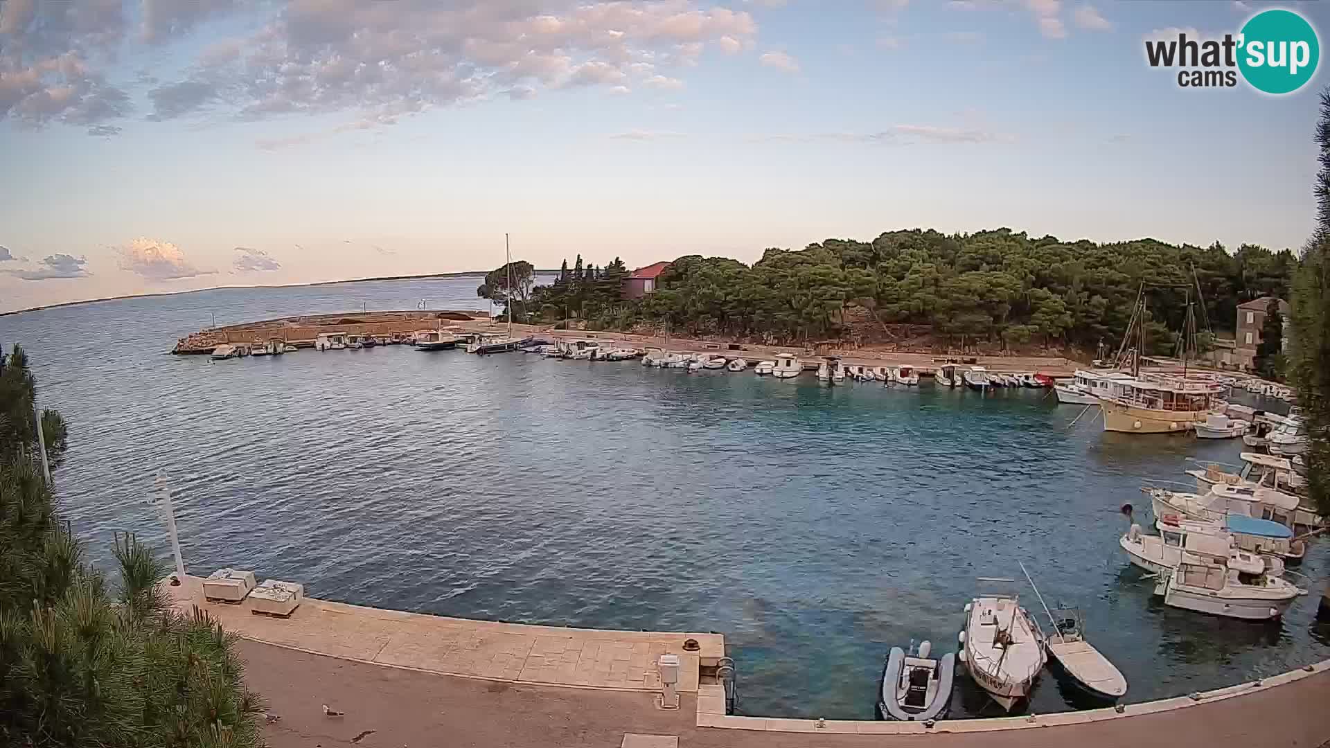 Mandre – marina