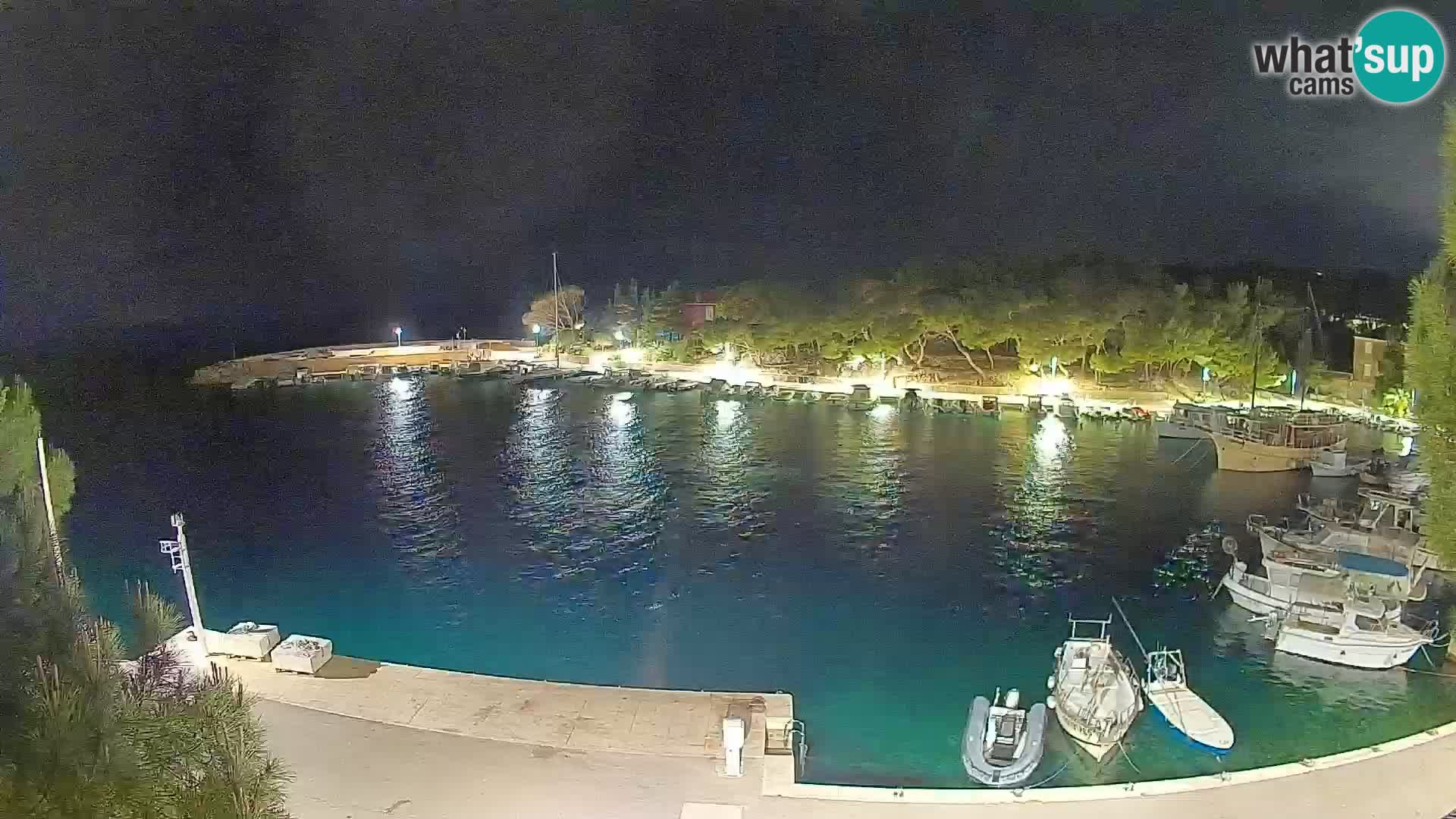 Mandre – marina