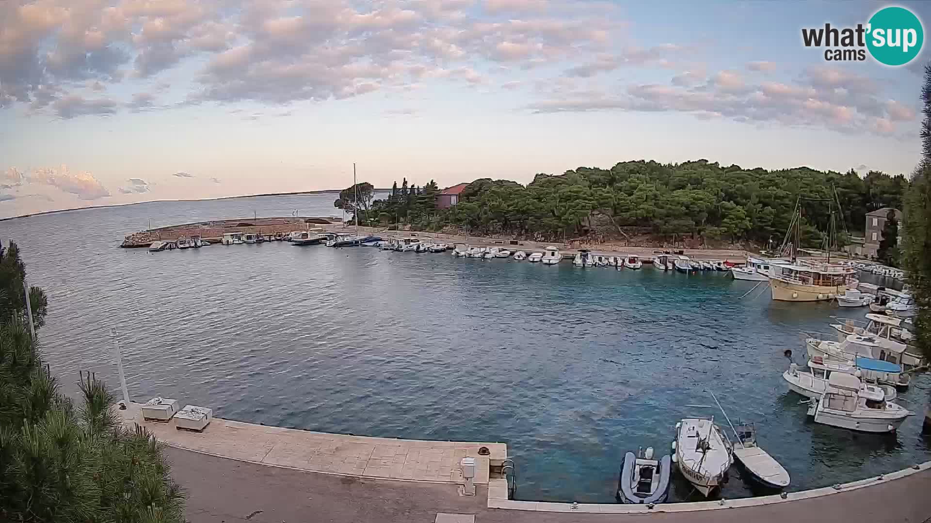 Mandre – marina