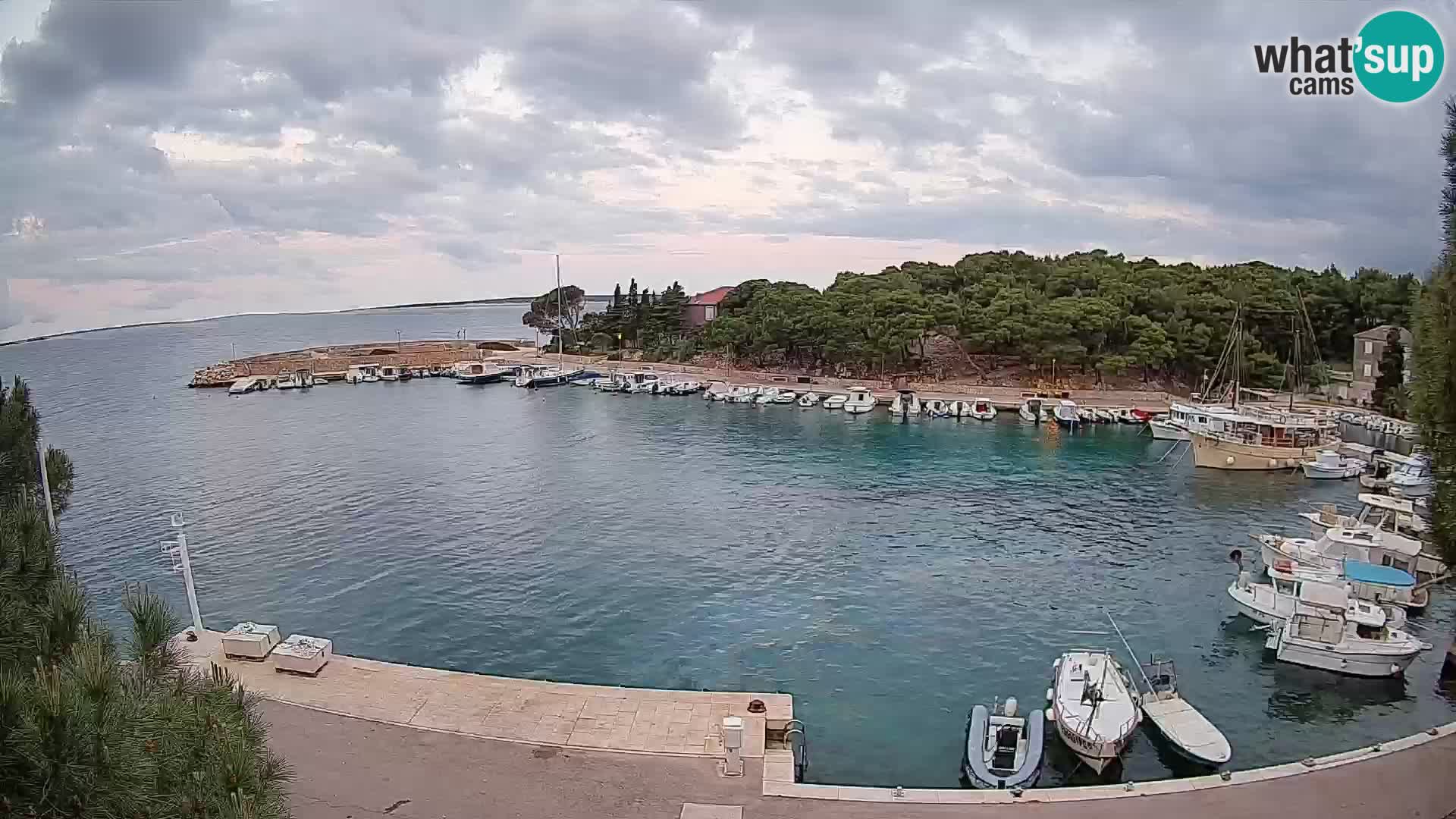 Mandre – marina
