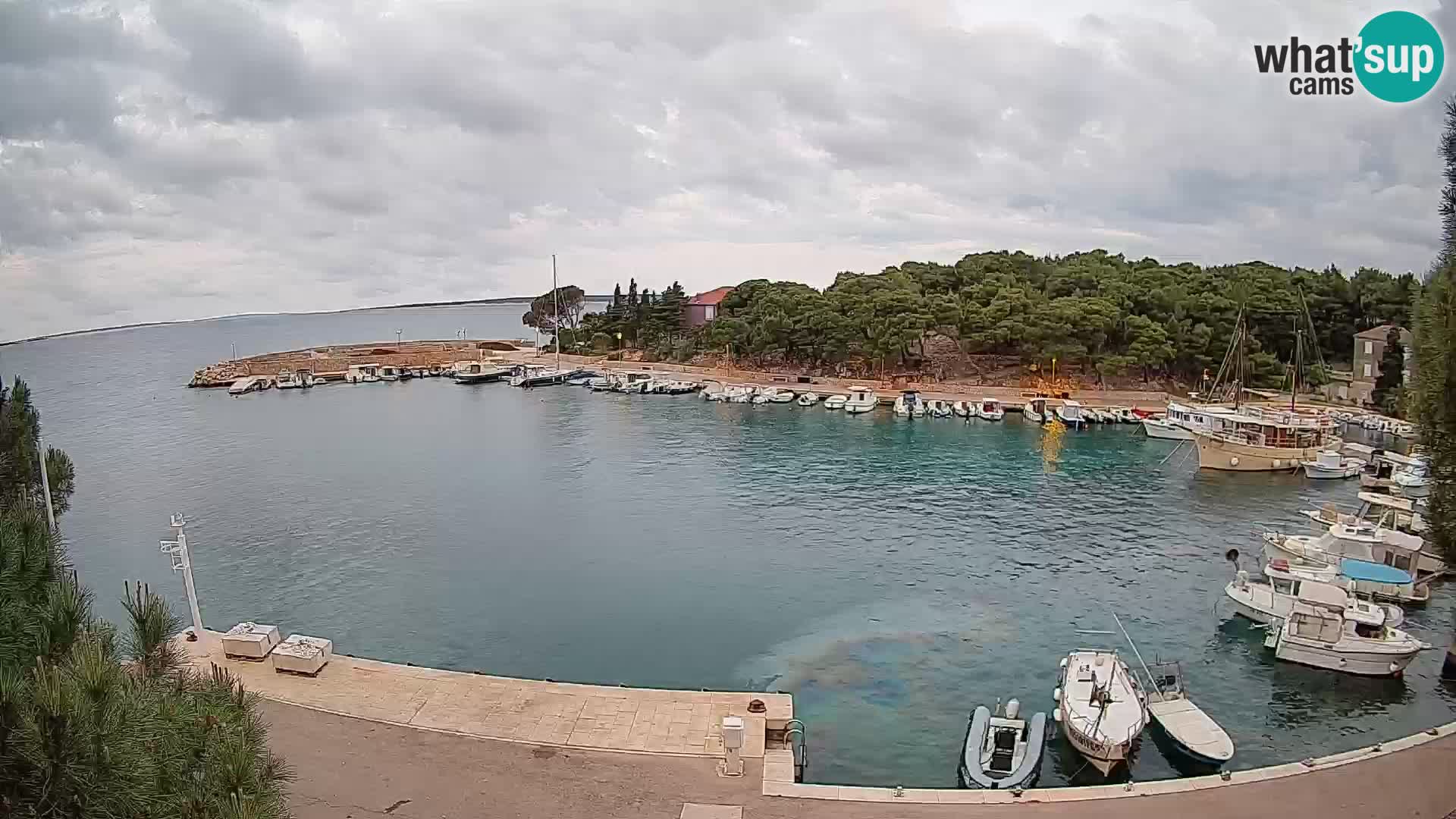 Mandre – marina