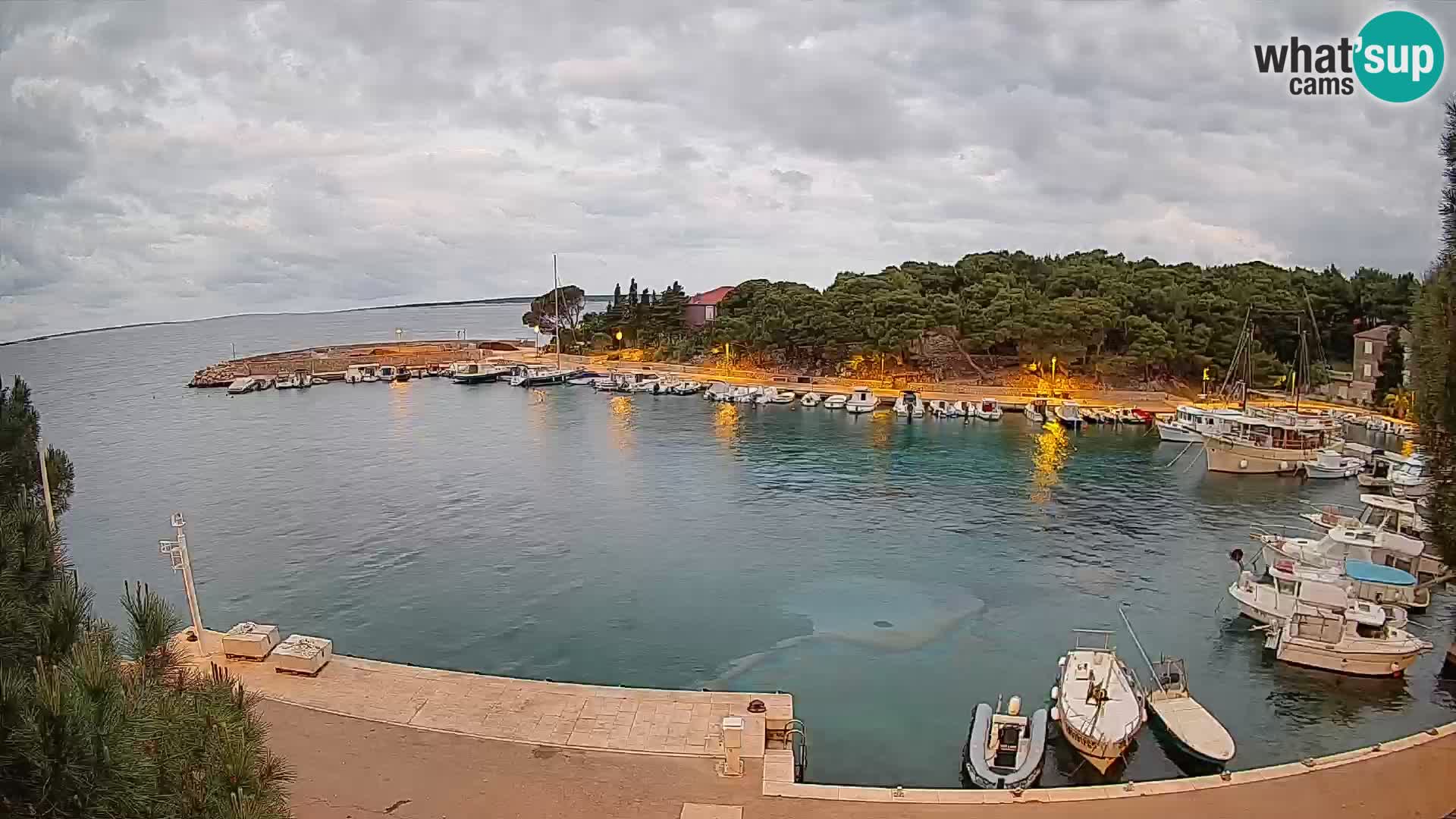 Mandre – marina