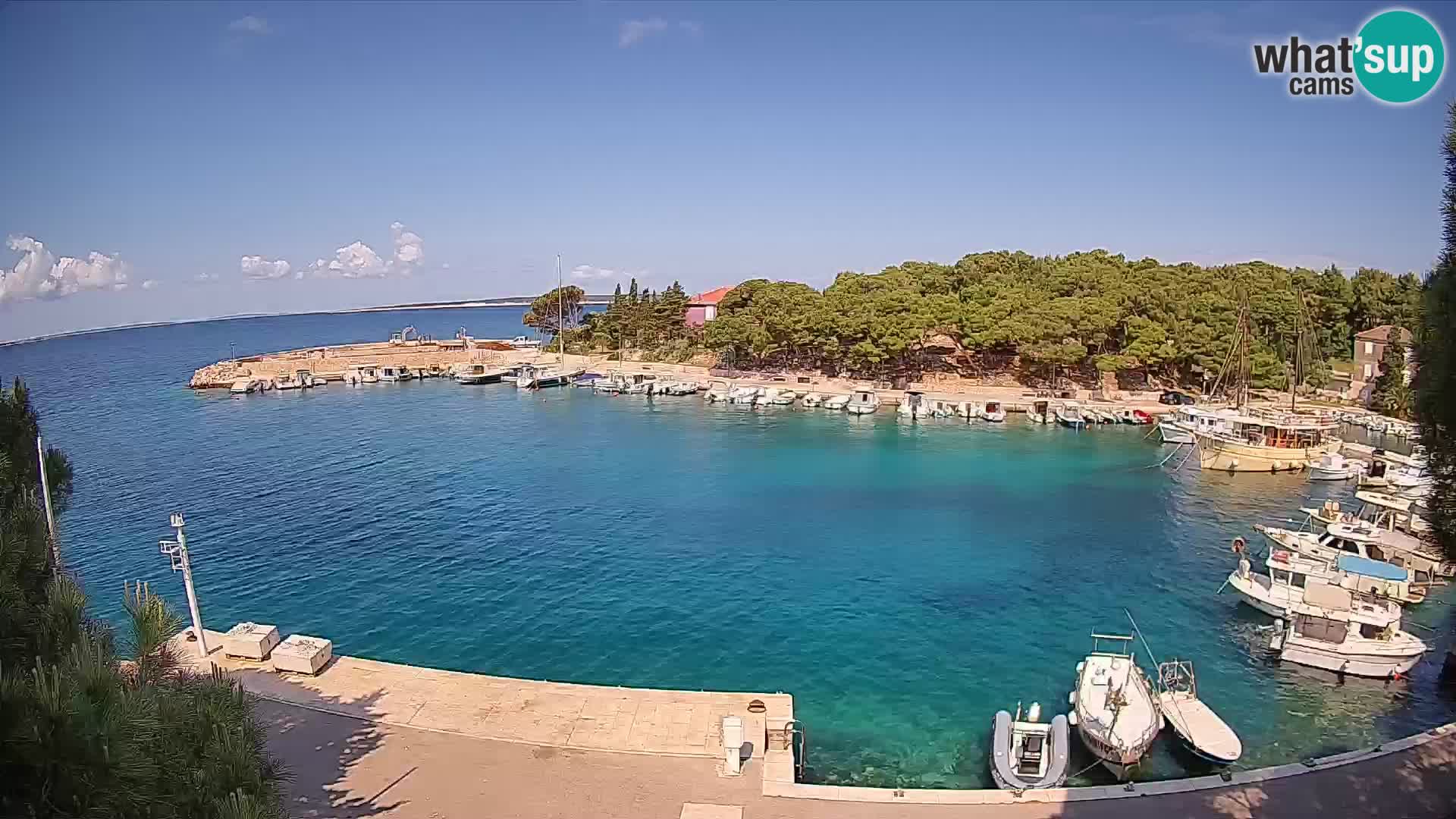Mandre – marina