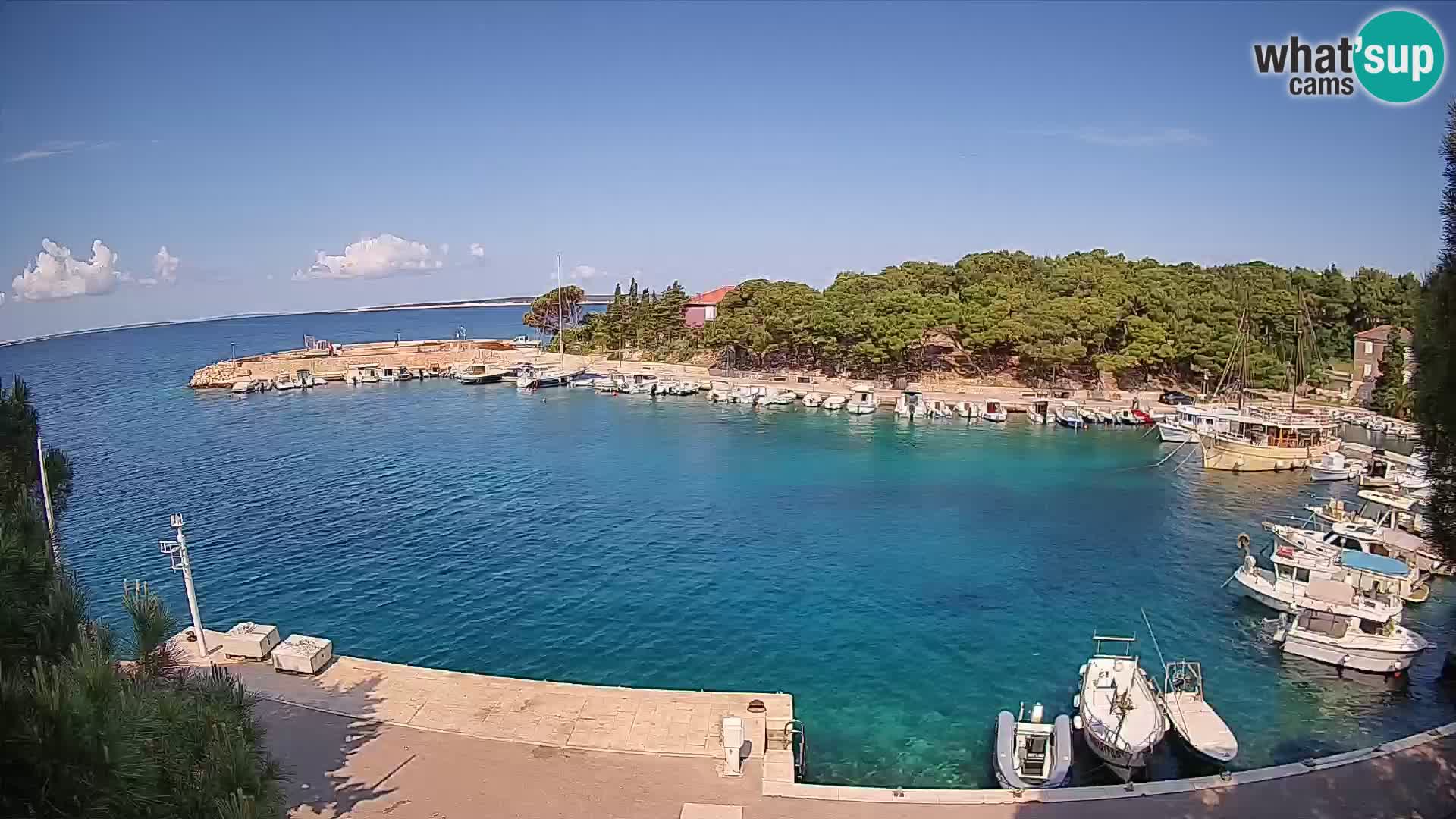 Mandre – marina