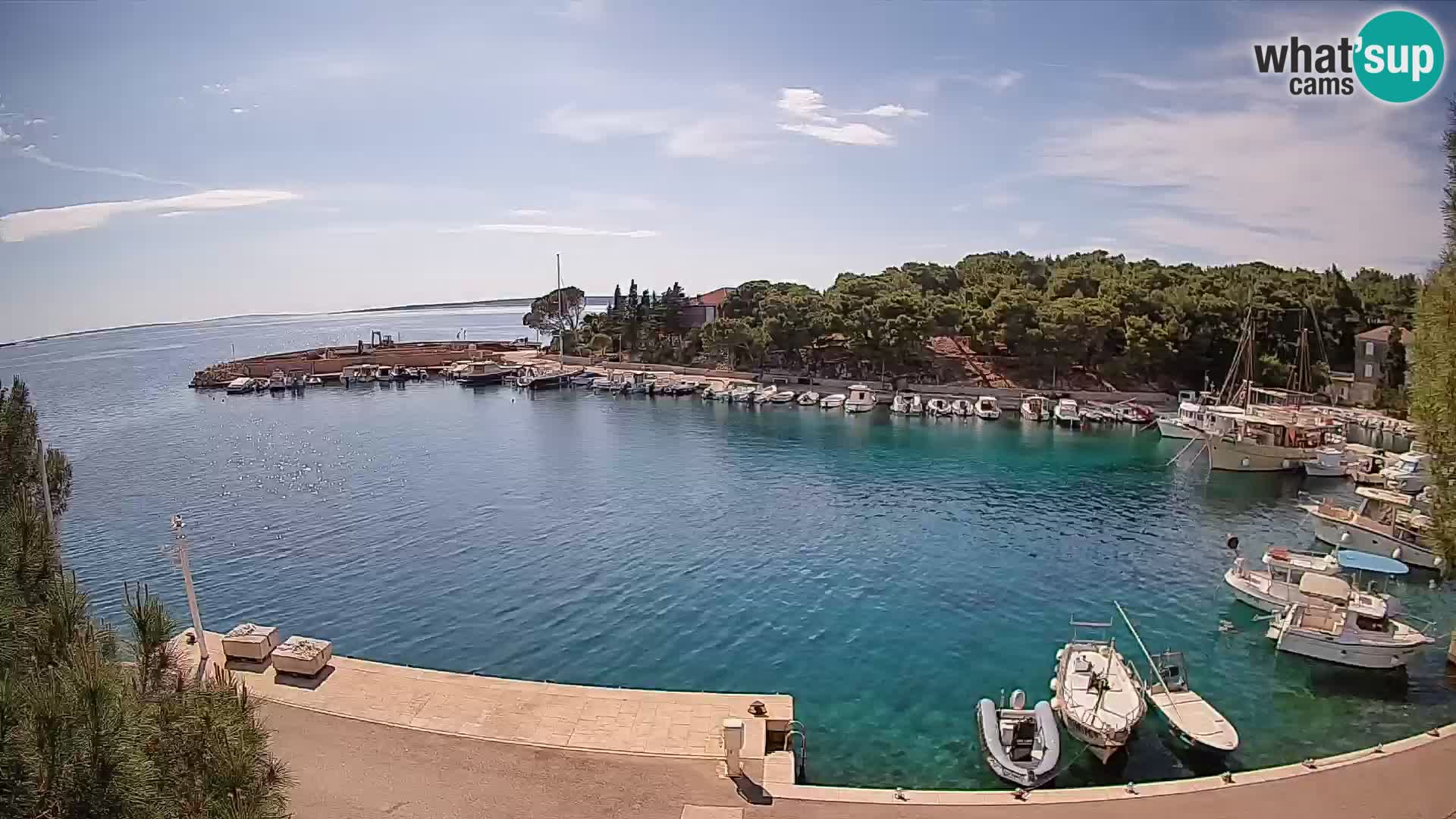 Mandre – marina