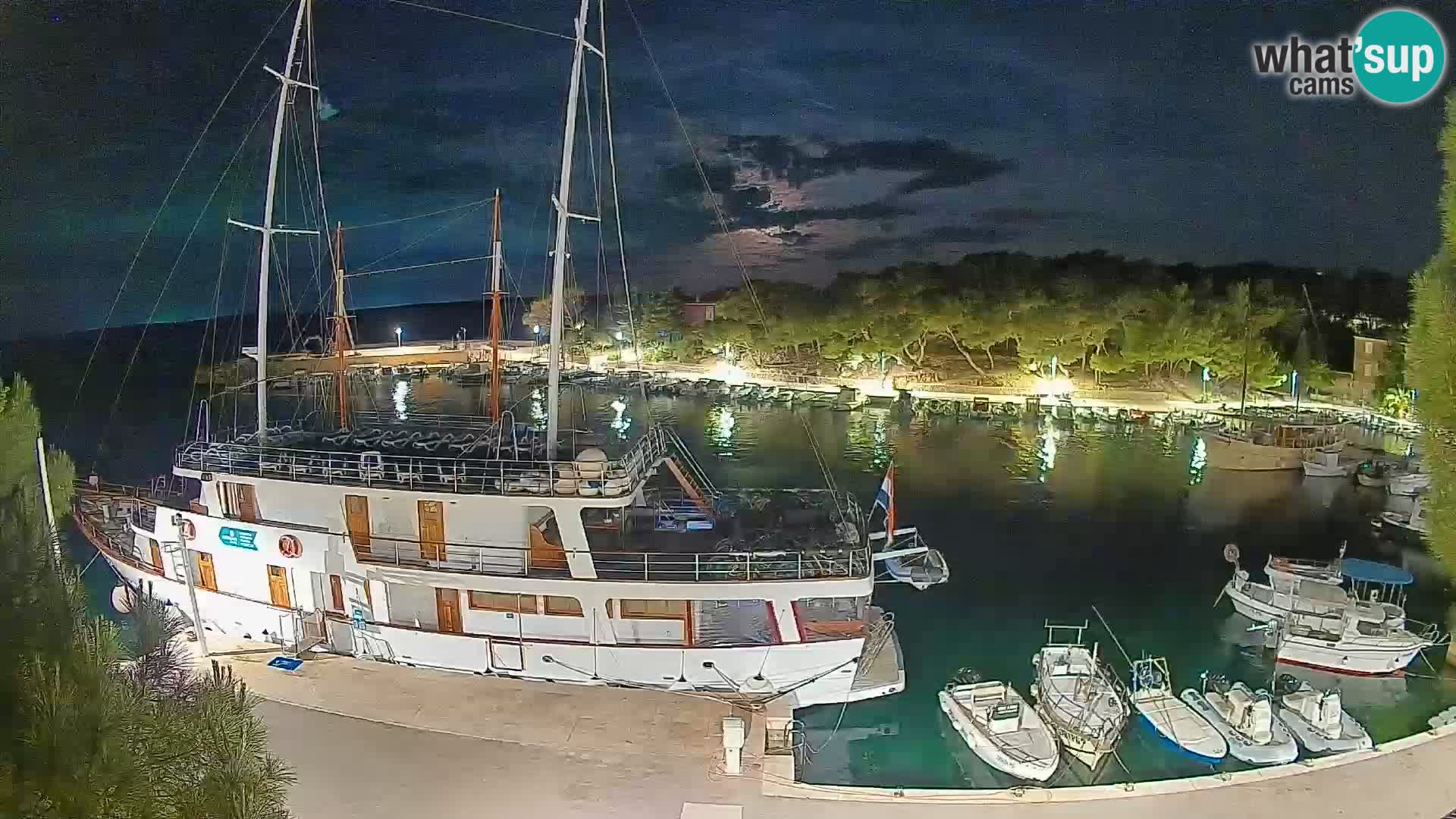 Mandre – marina