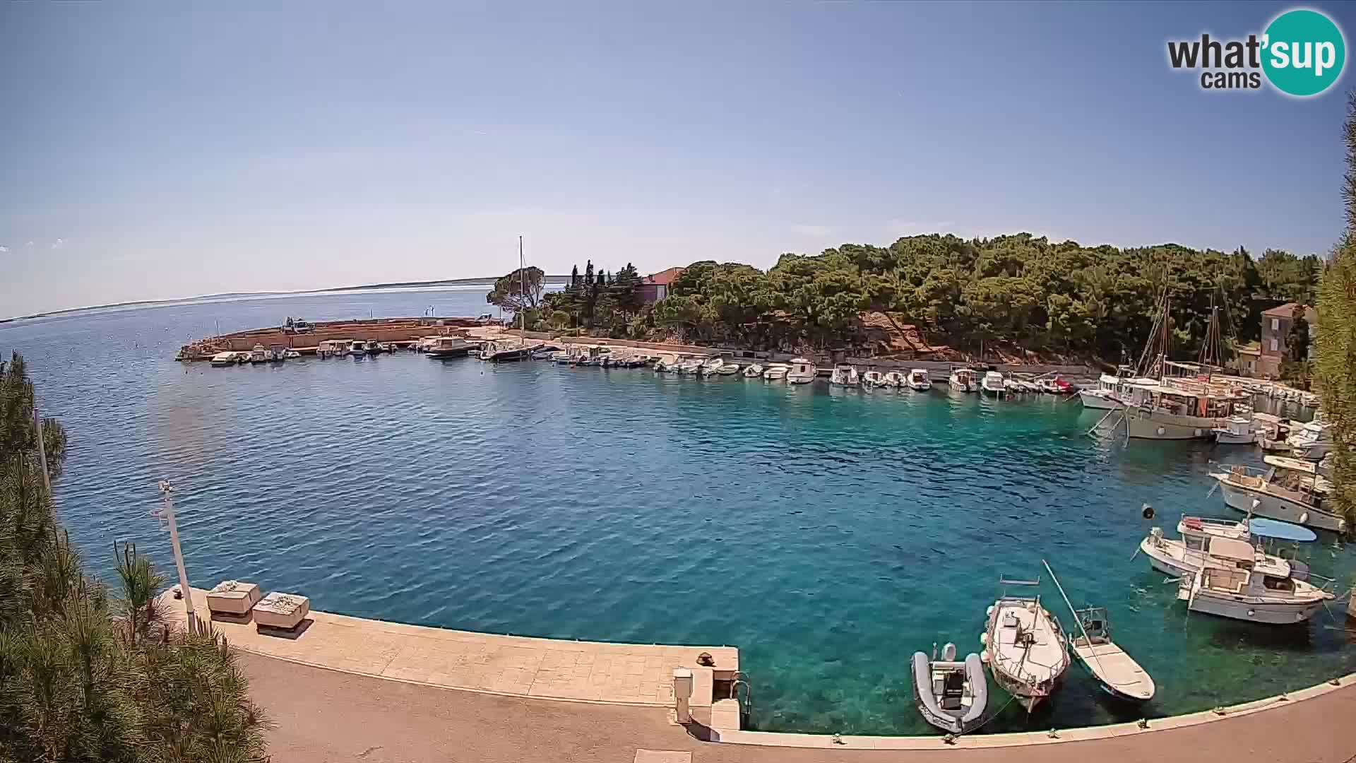 Mandre – marina
