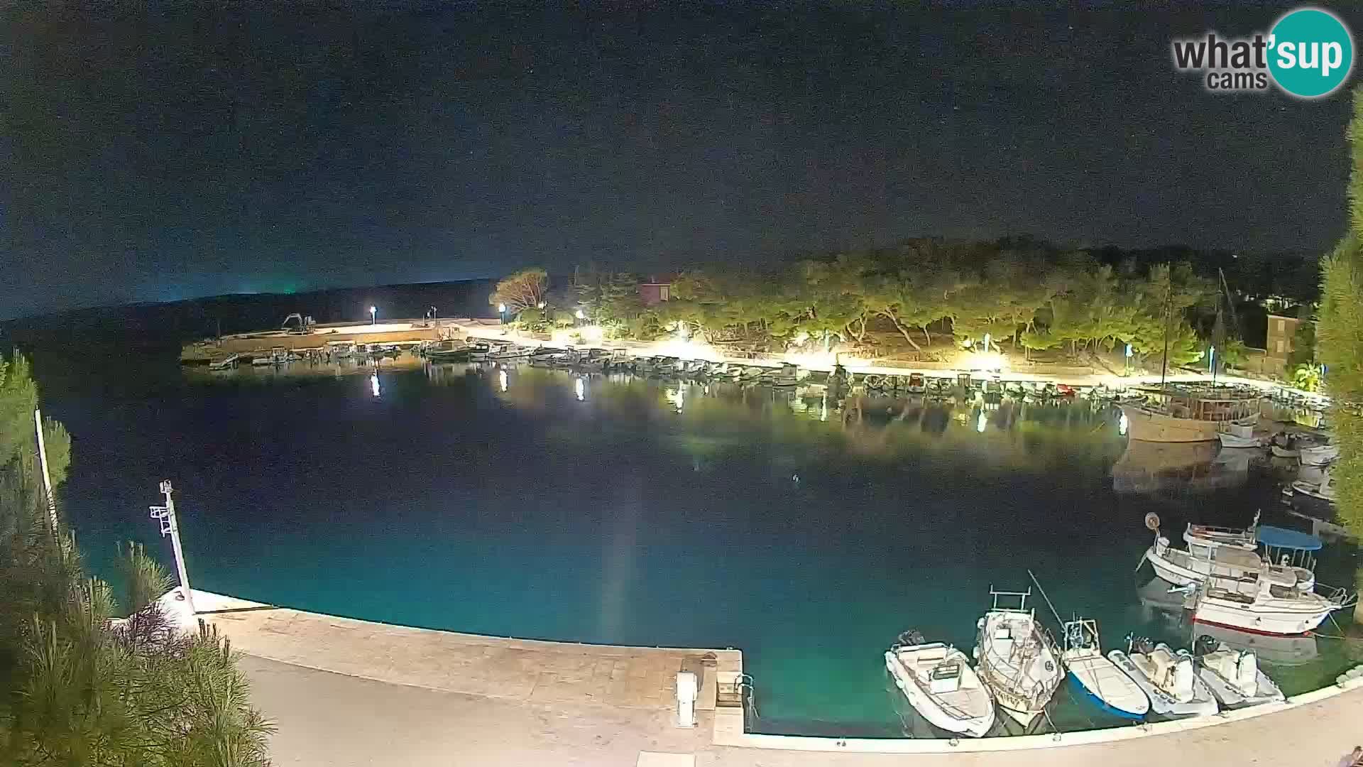 Mandre – marina