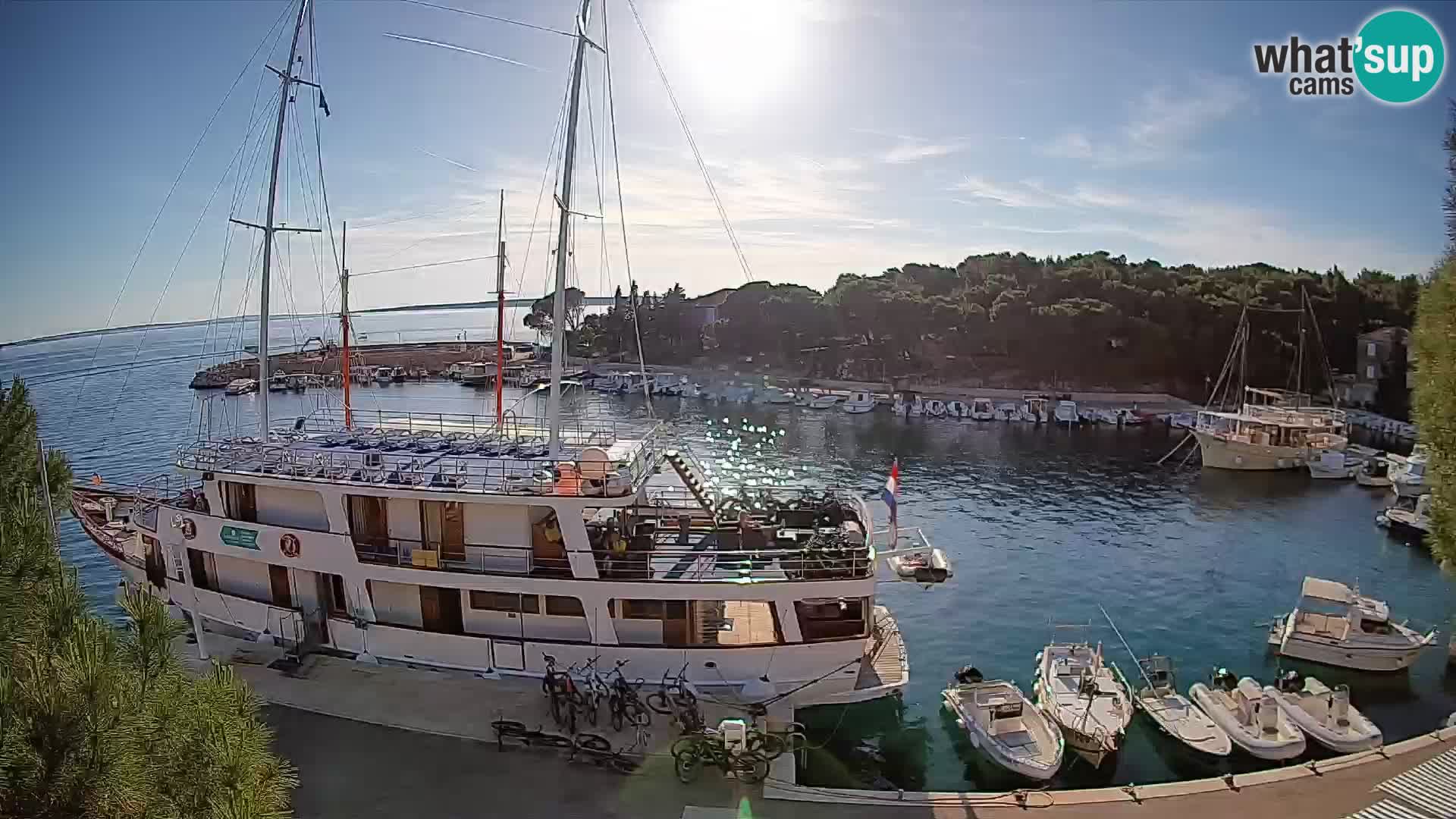 Mandre – marina