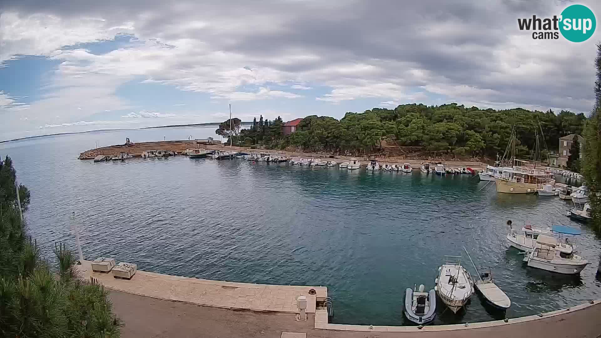 Mandre – marina