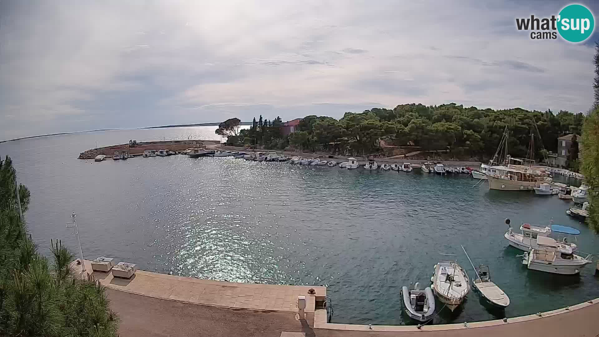 Mandre – marina