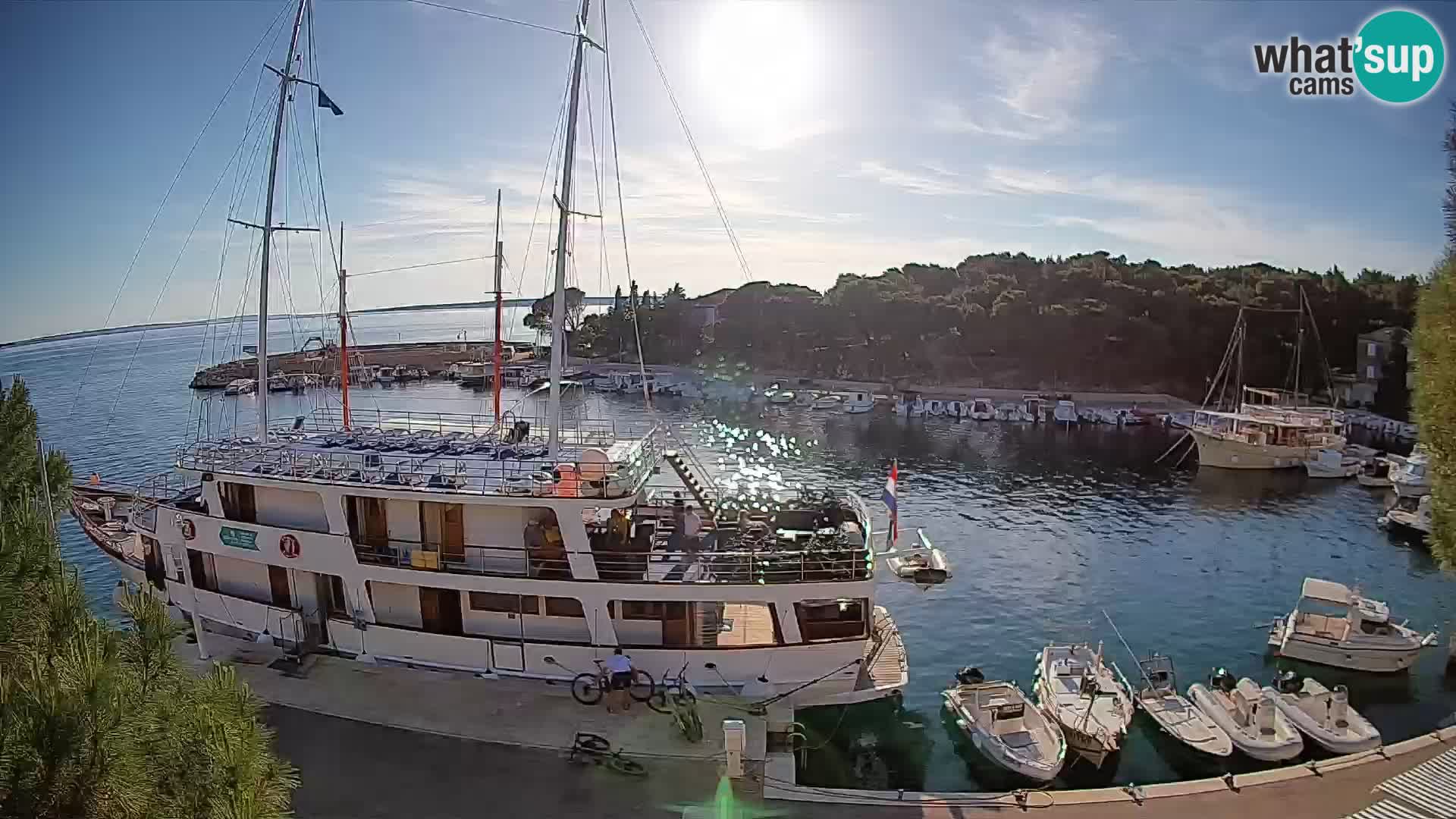 Mandre – marina