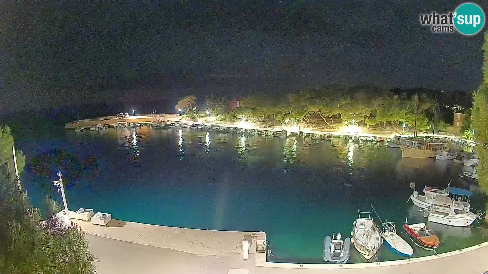 Mandre – marina