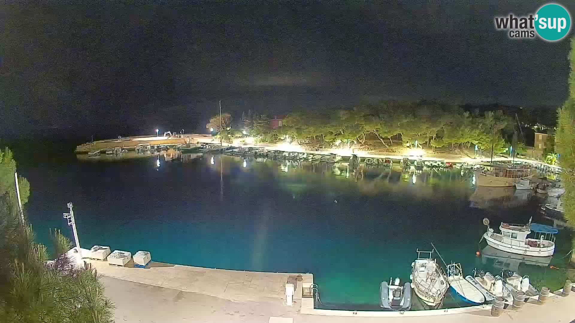 Mandre – marina