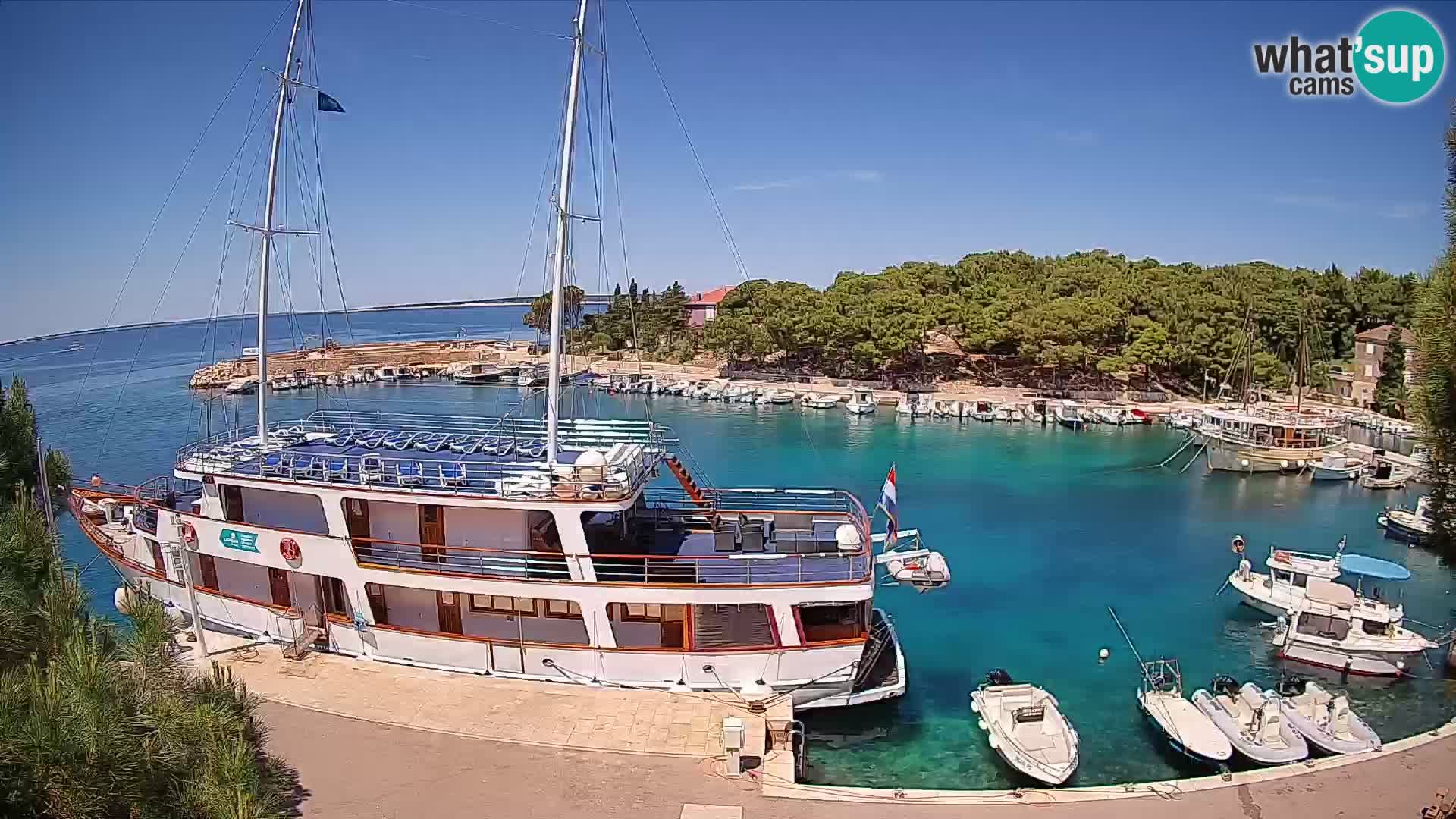 Mandre – marina