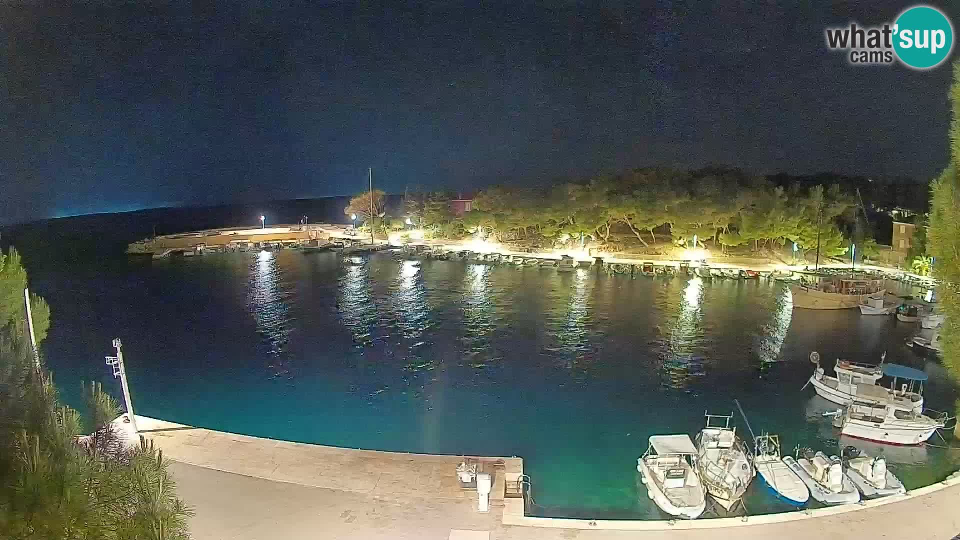 Mandre – marina