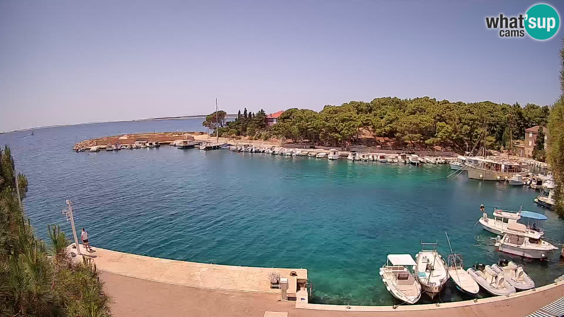 Mandre – marina