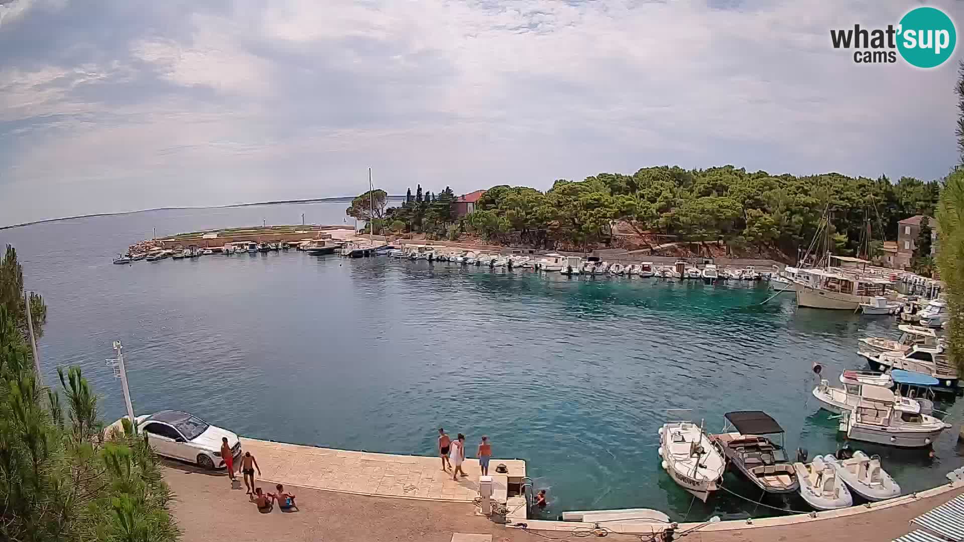 Mandre – marina