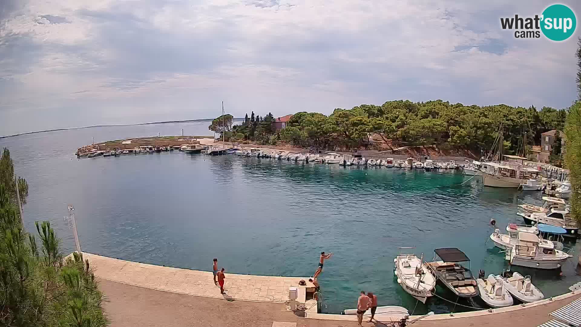 Mandre – marina