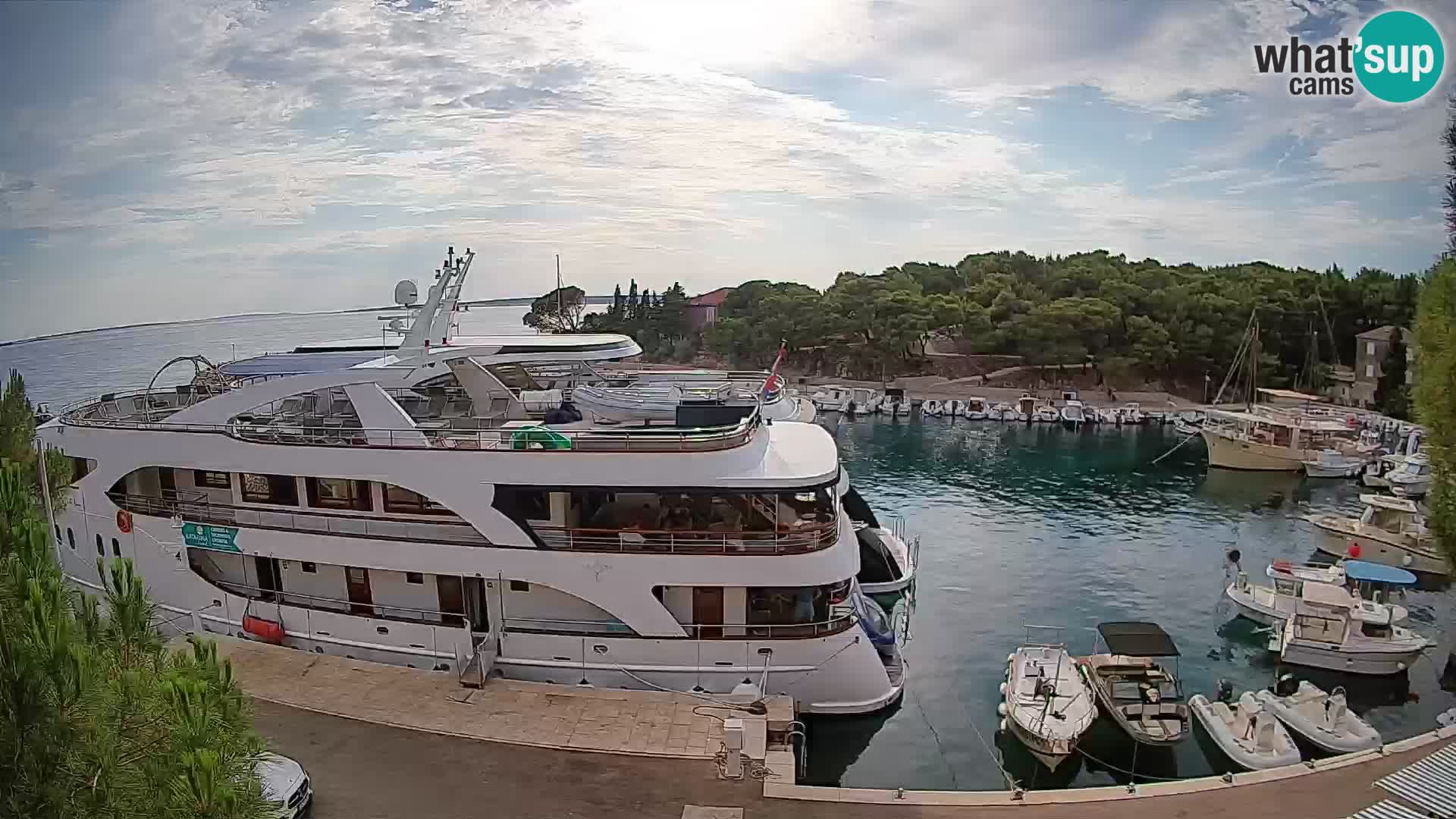 Mandre – marina