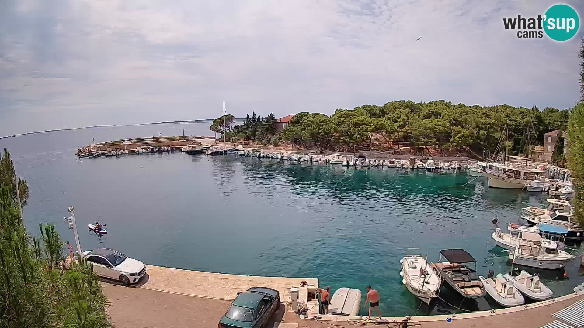Mandre – marina