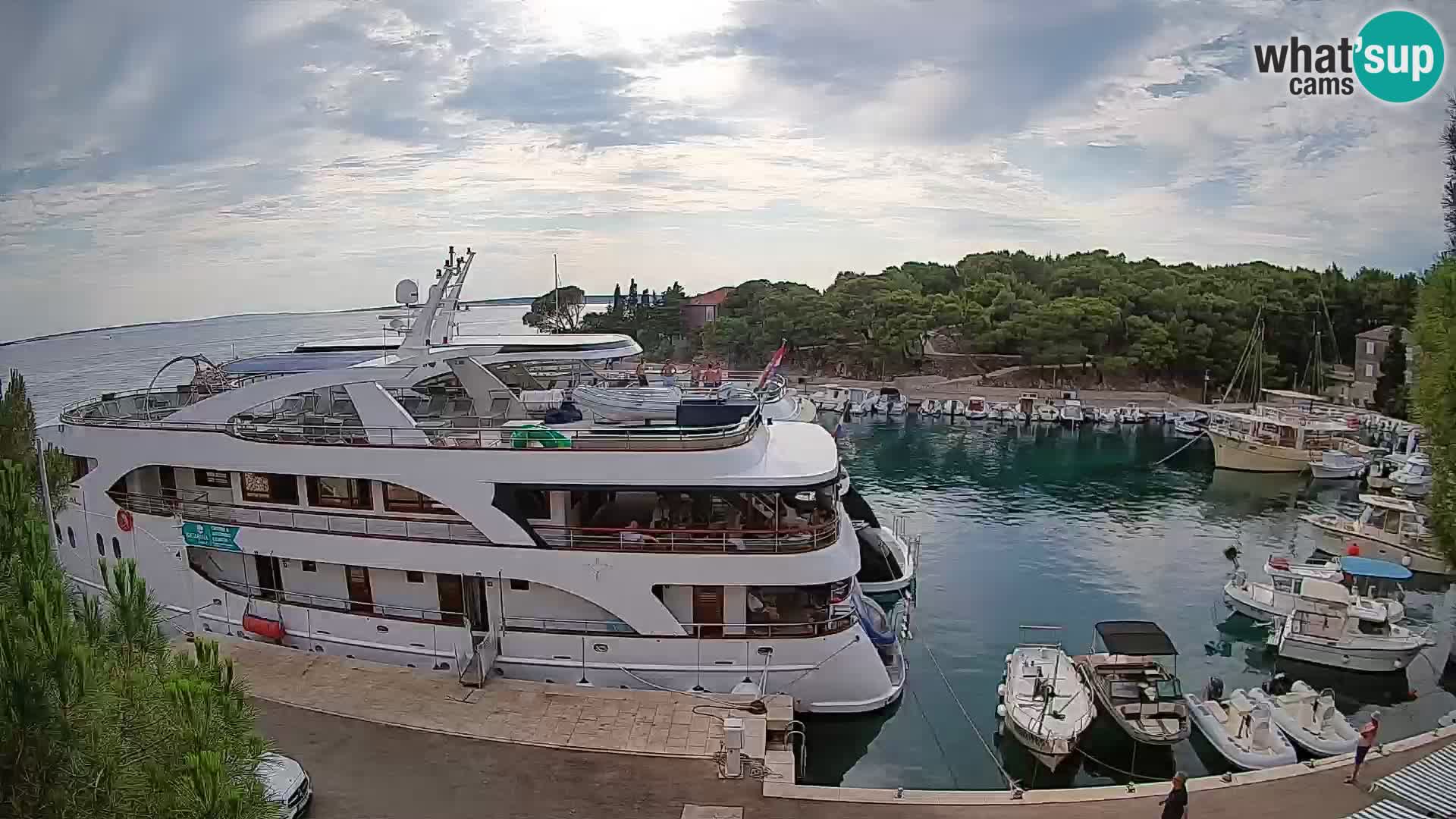 Mandre – marina