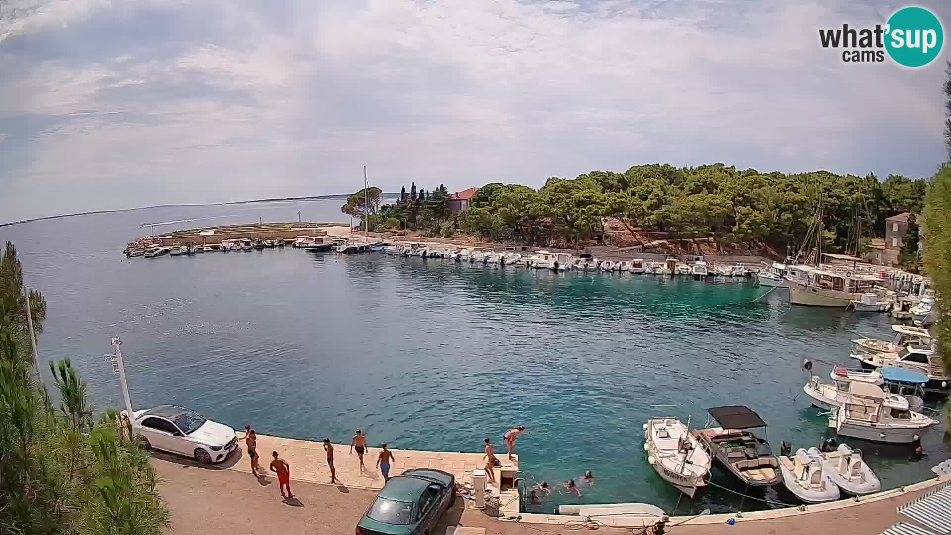 Mandre – marina