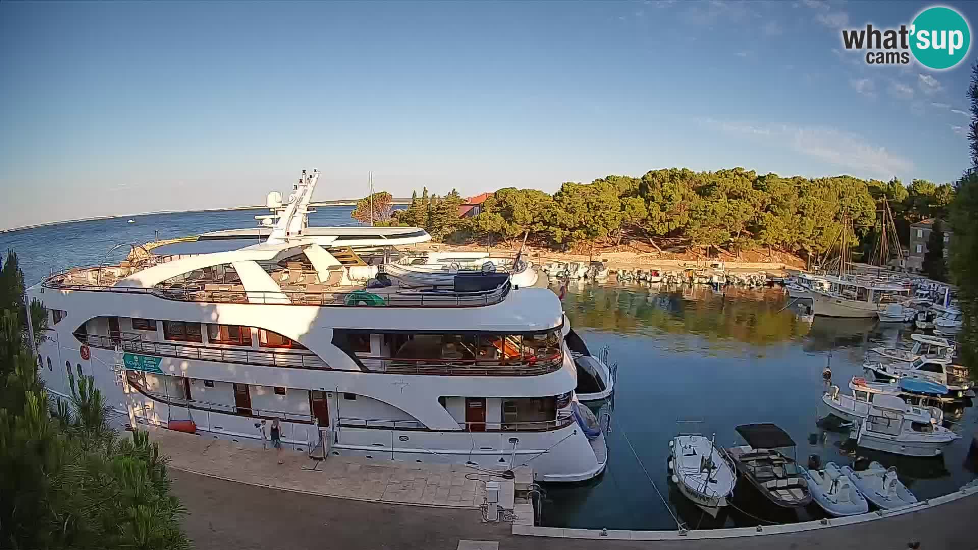 Mandre – marina