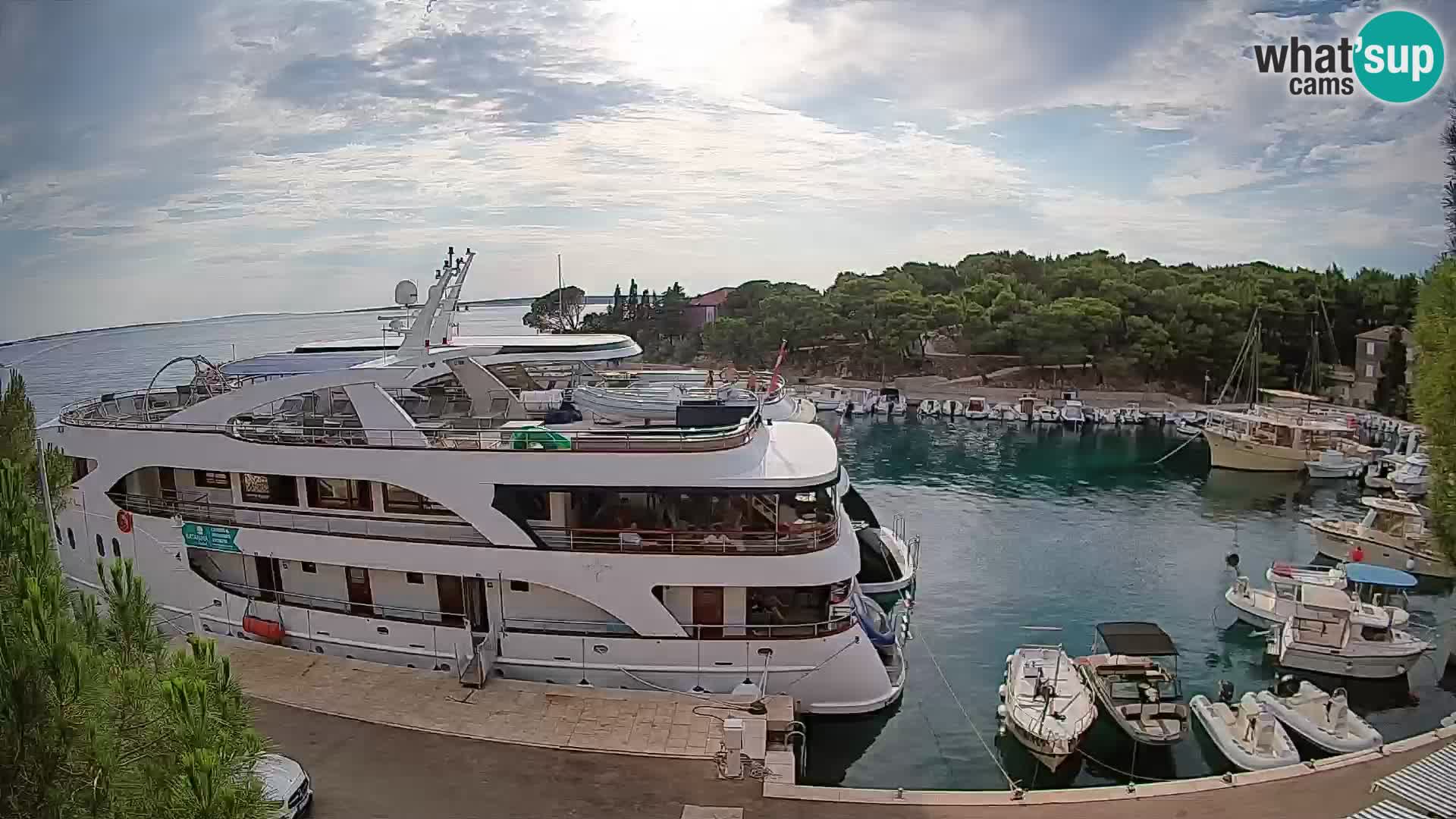 Mandre – marina