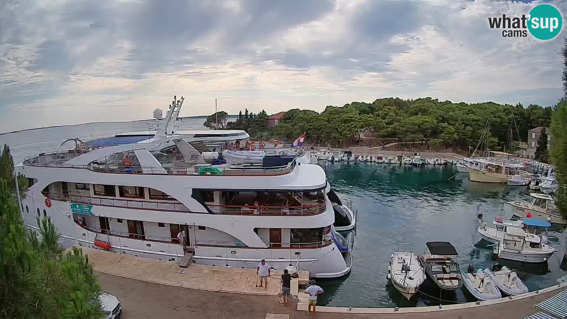 Mandre – marina
