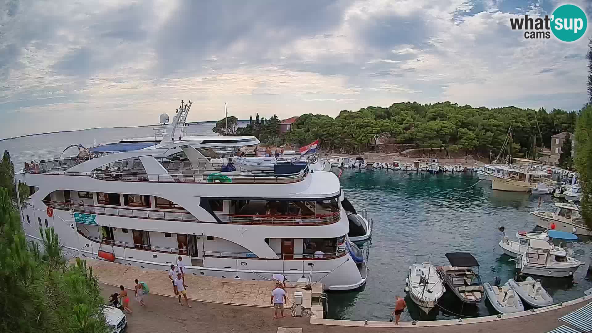 Mandre – marina