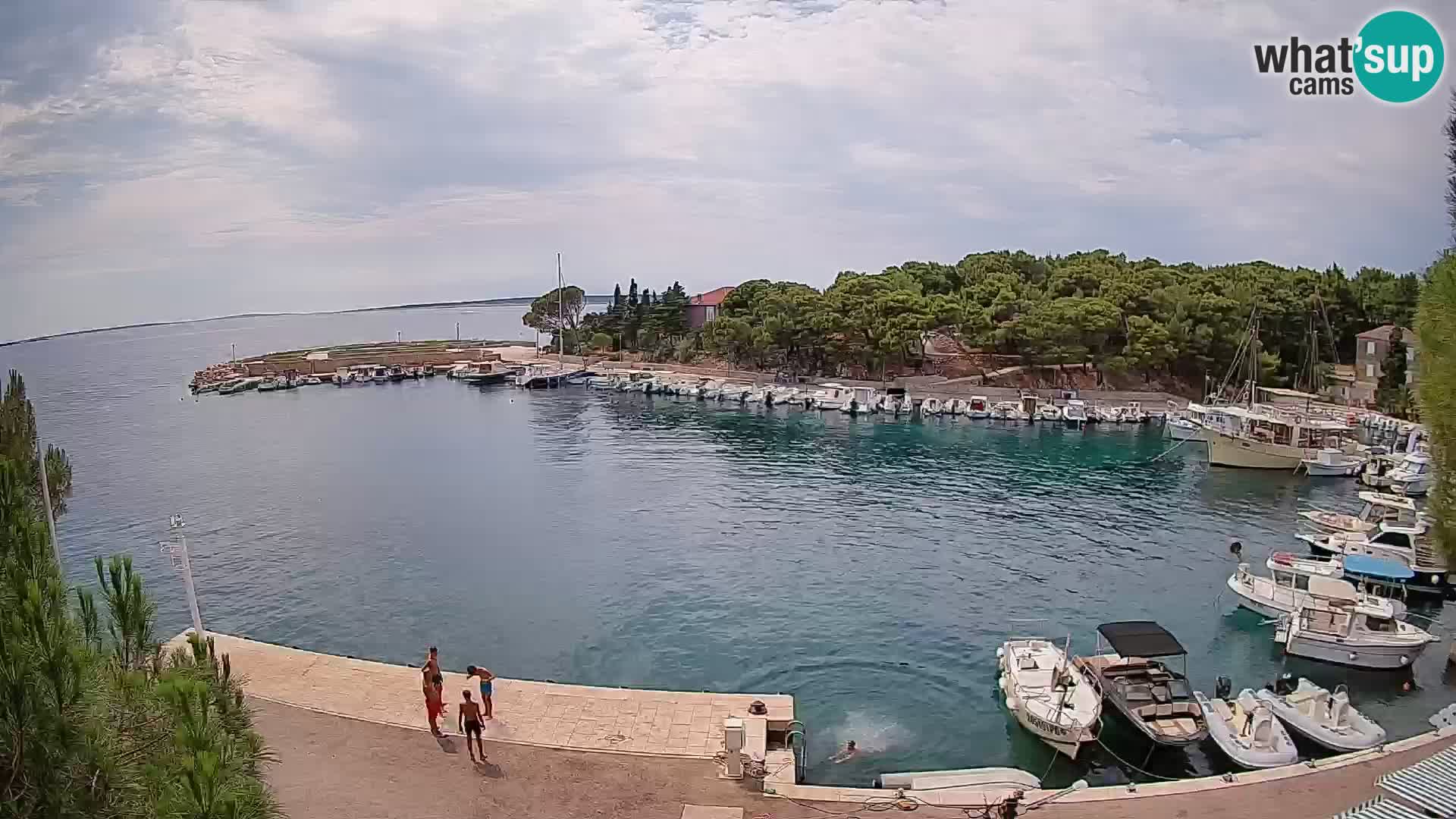 Mandre – marina