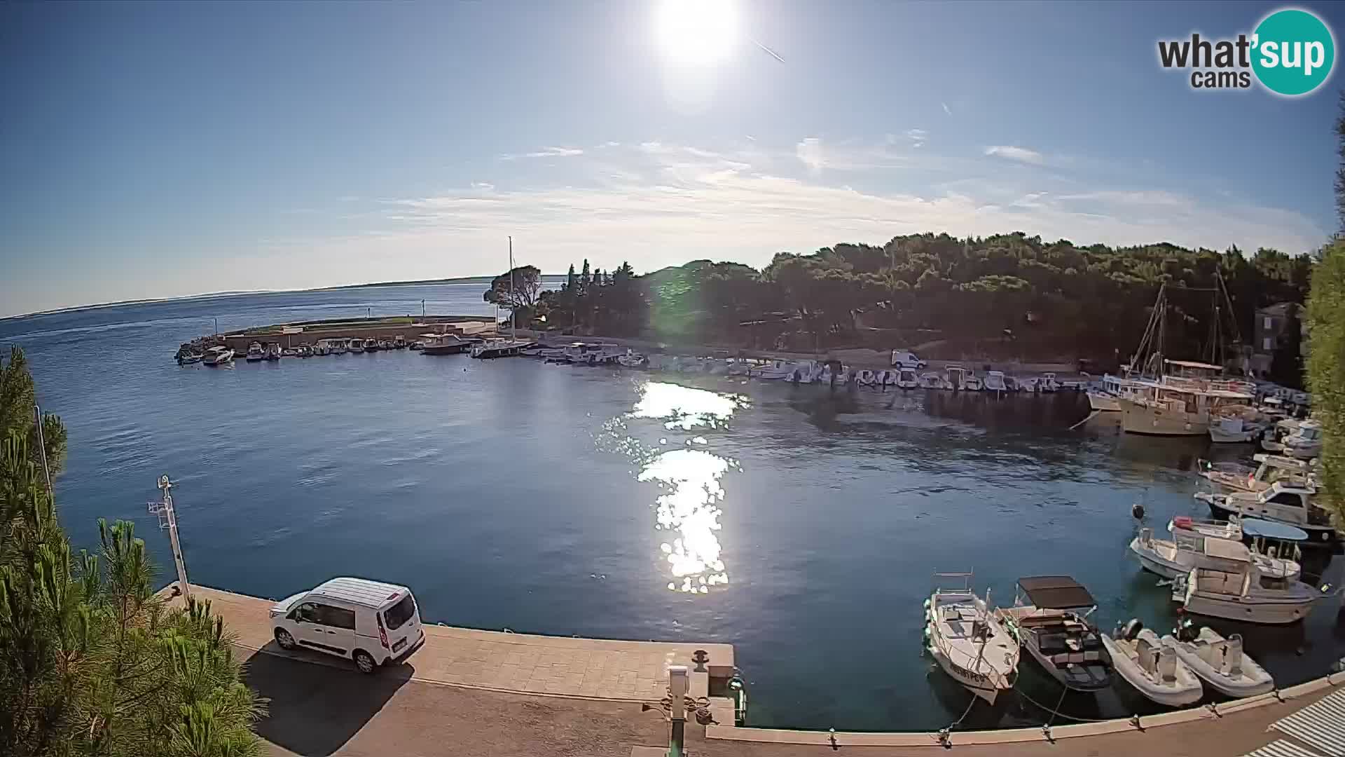 Mandre – marina