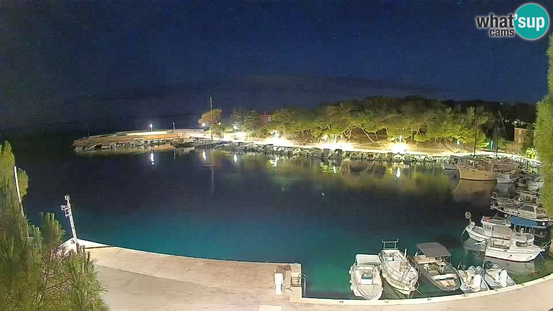 Mandre – marina