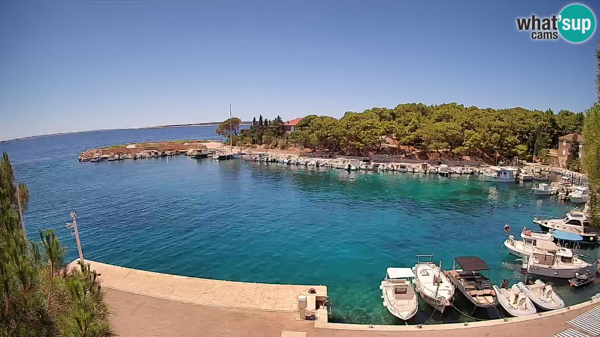 Mandre – marina