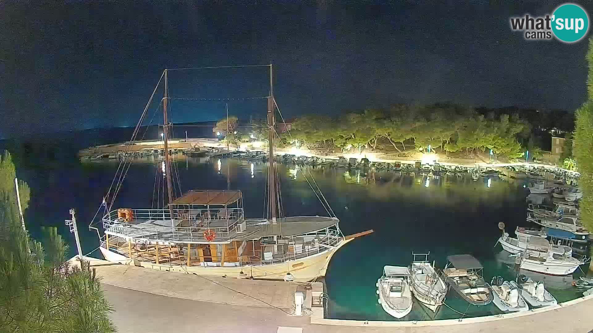 Mandre – marina