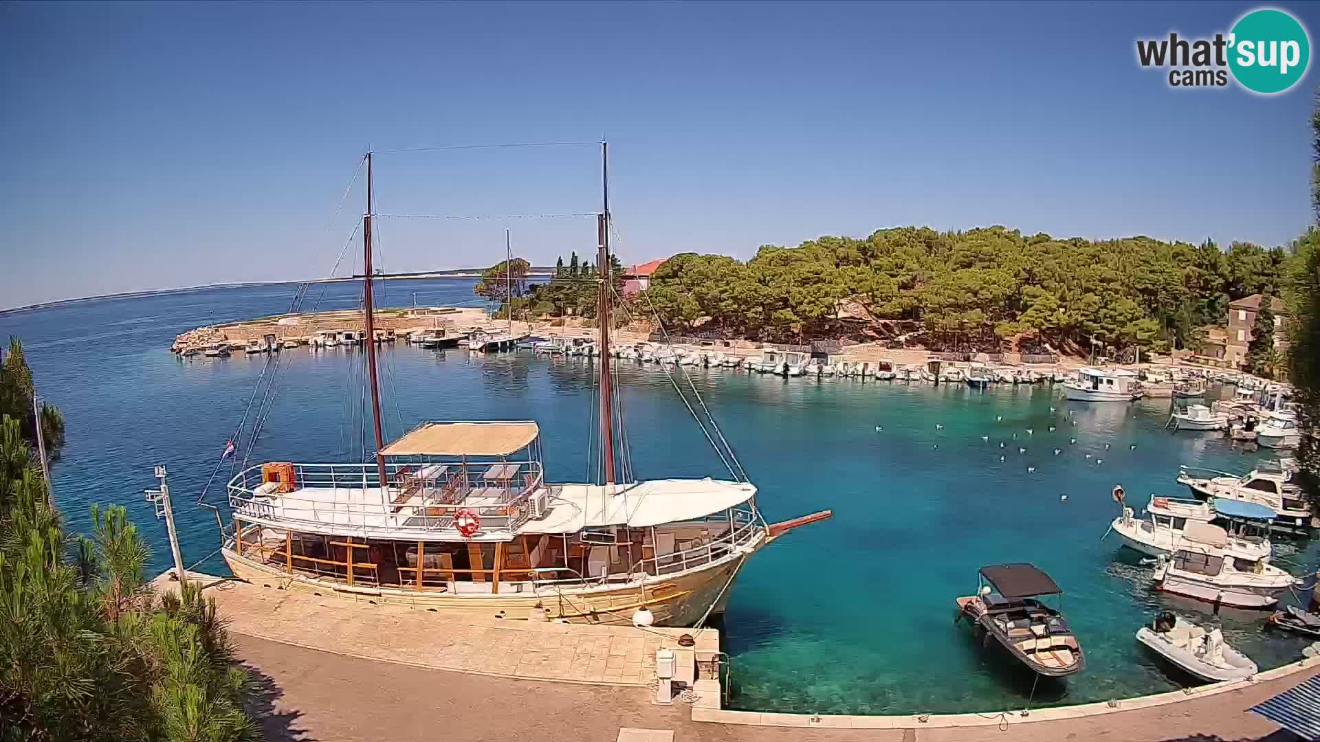 Mandre – marina