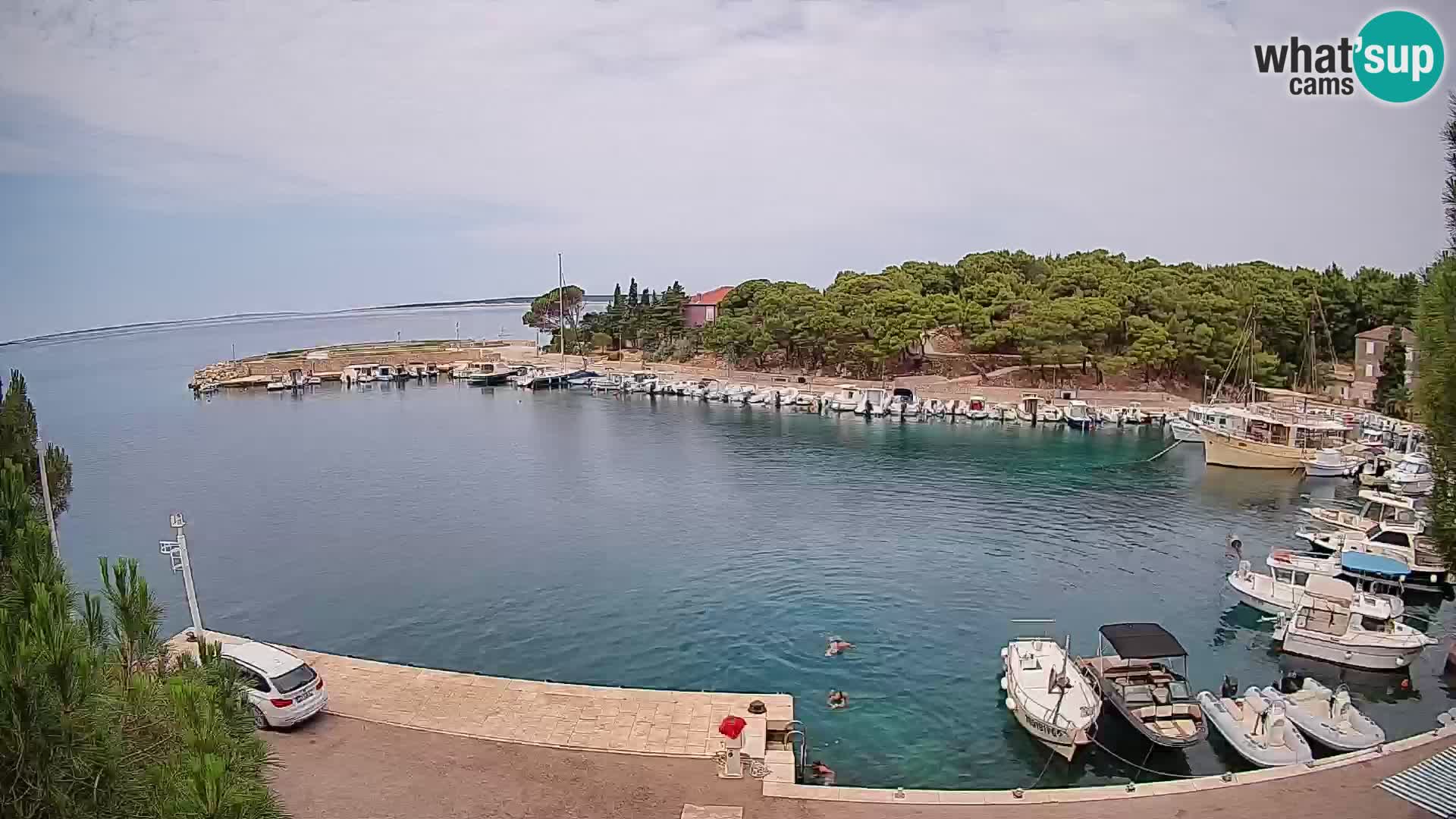 Mandre – marina